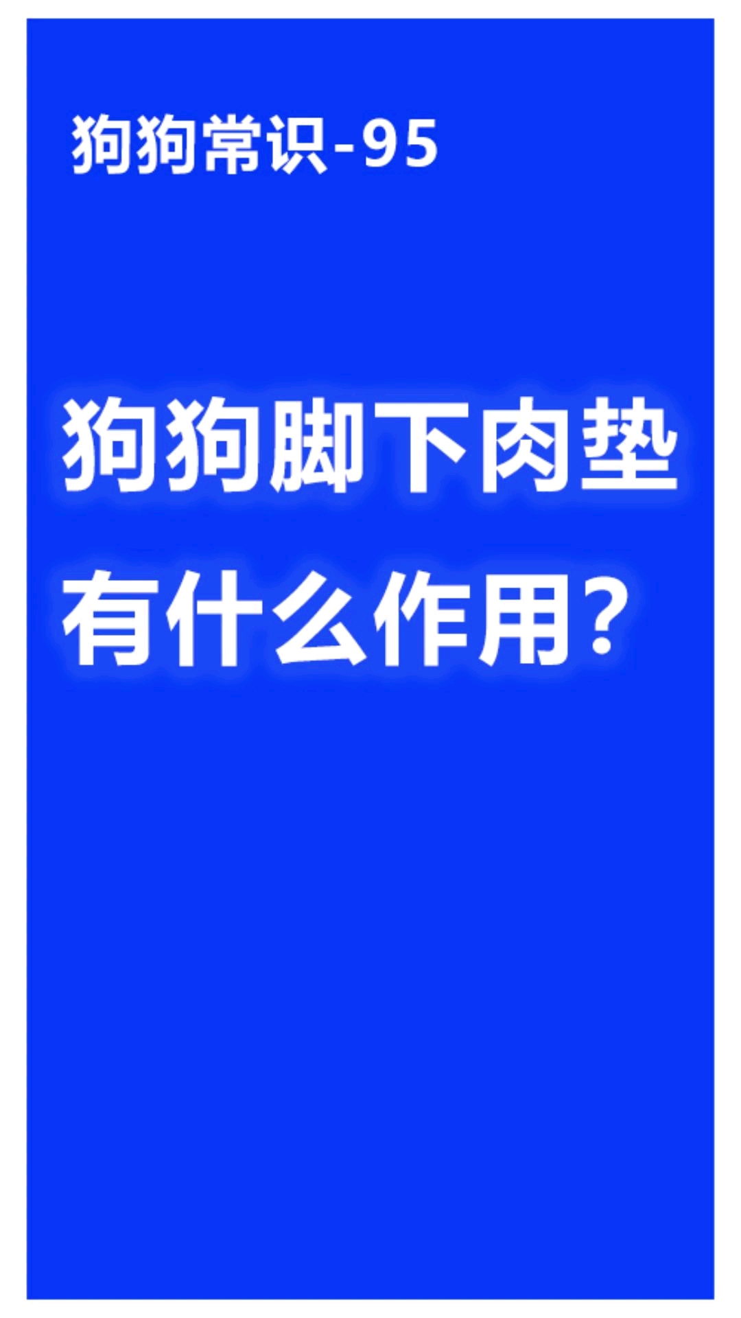 狗狗脚下肉垫有什么作用?