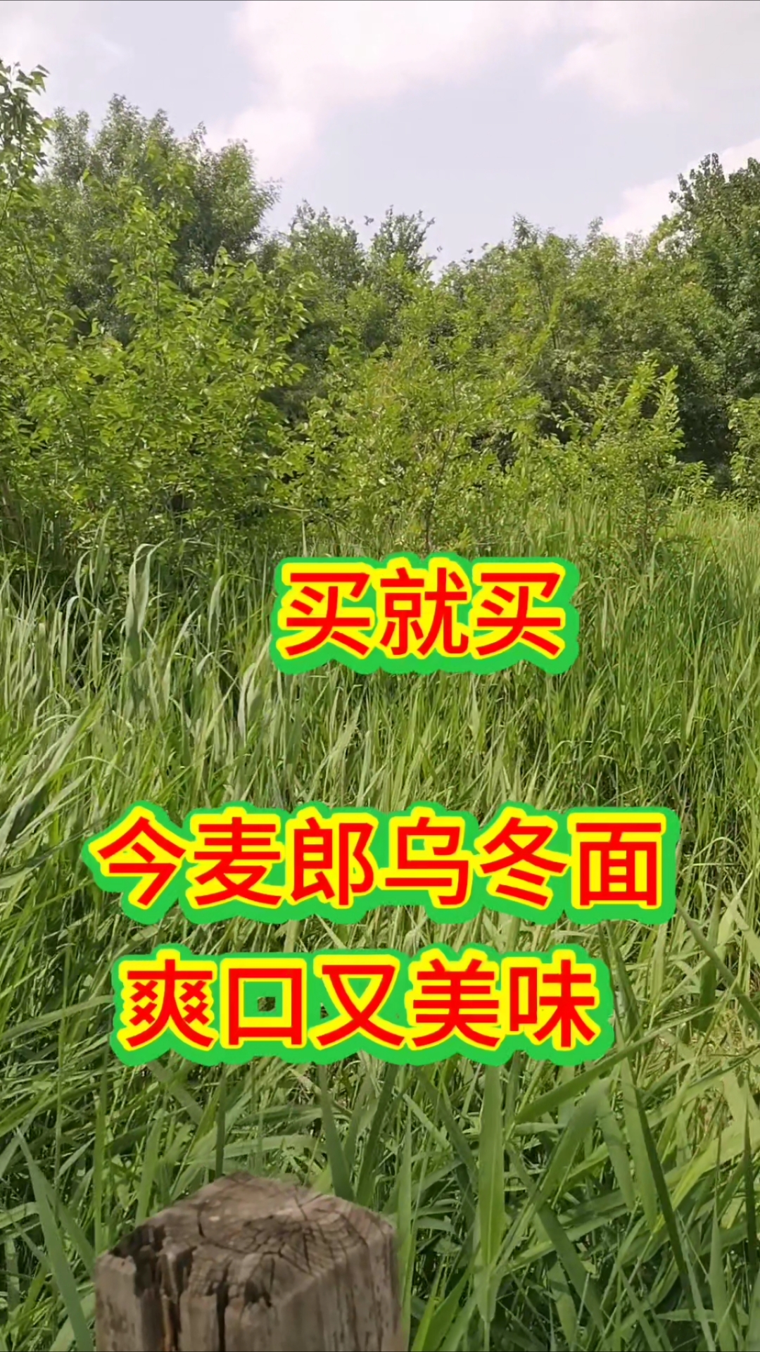 今麦郎乌冬面好吃爽口又美味