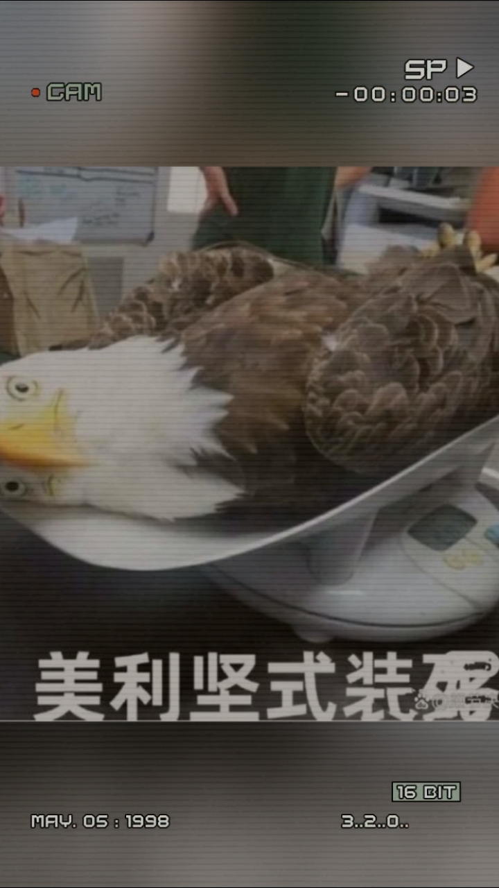 #Ch#Ch表情包,拿图吱一声。