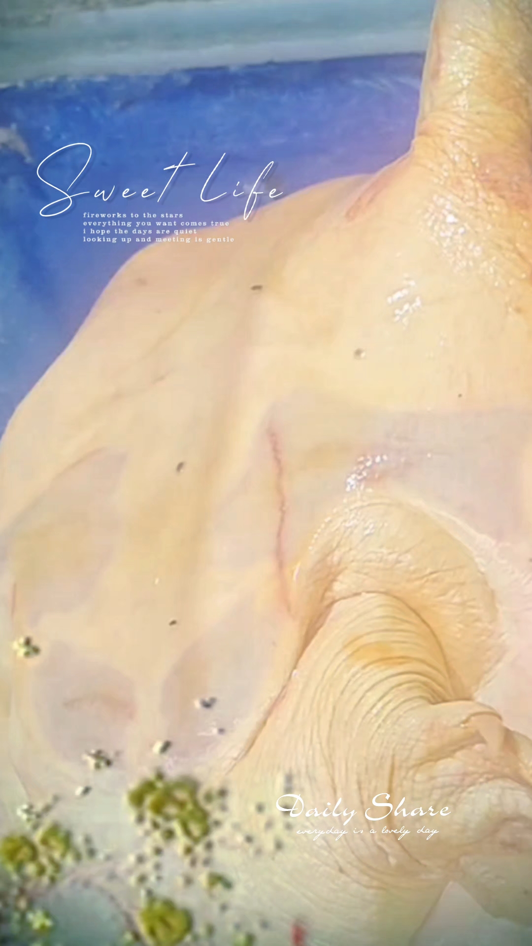 山药甲鱼汤:补肾益脾,起到固精壮阳的作用