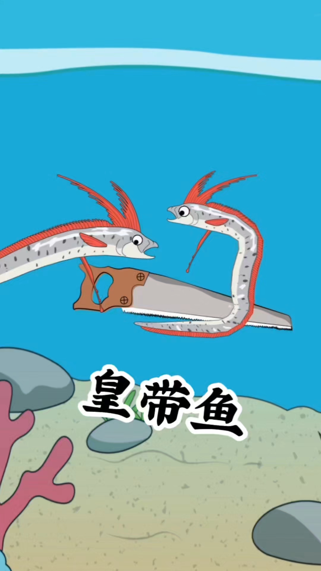 皇带鱼：难吃界的深海刺客