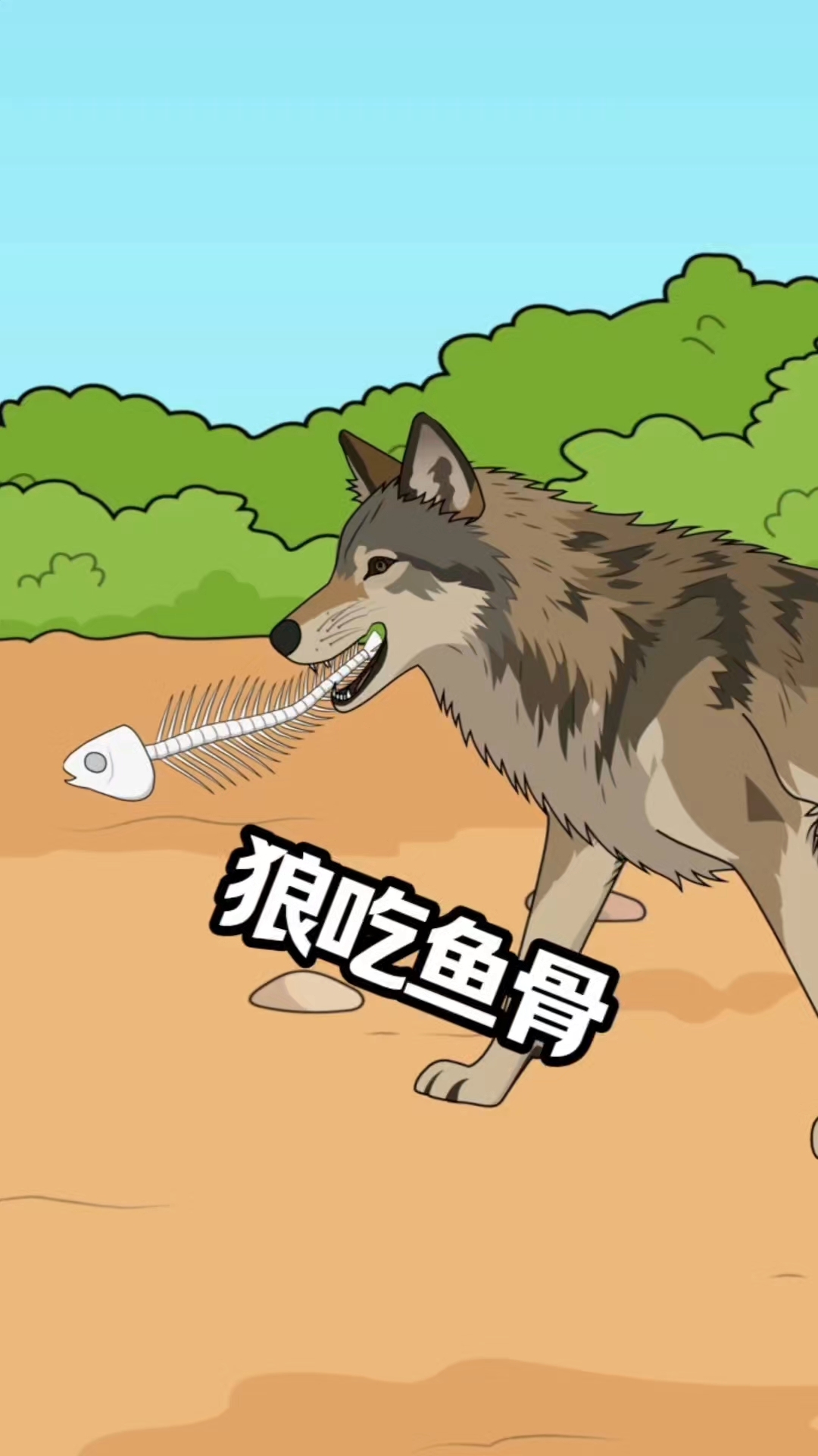 离谱又合理！狼为什么不吃鲑鱼肉？