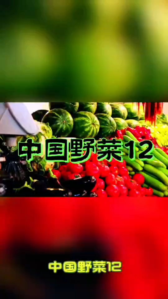 中国野菜12野菜食用方法