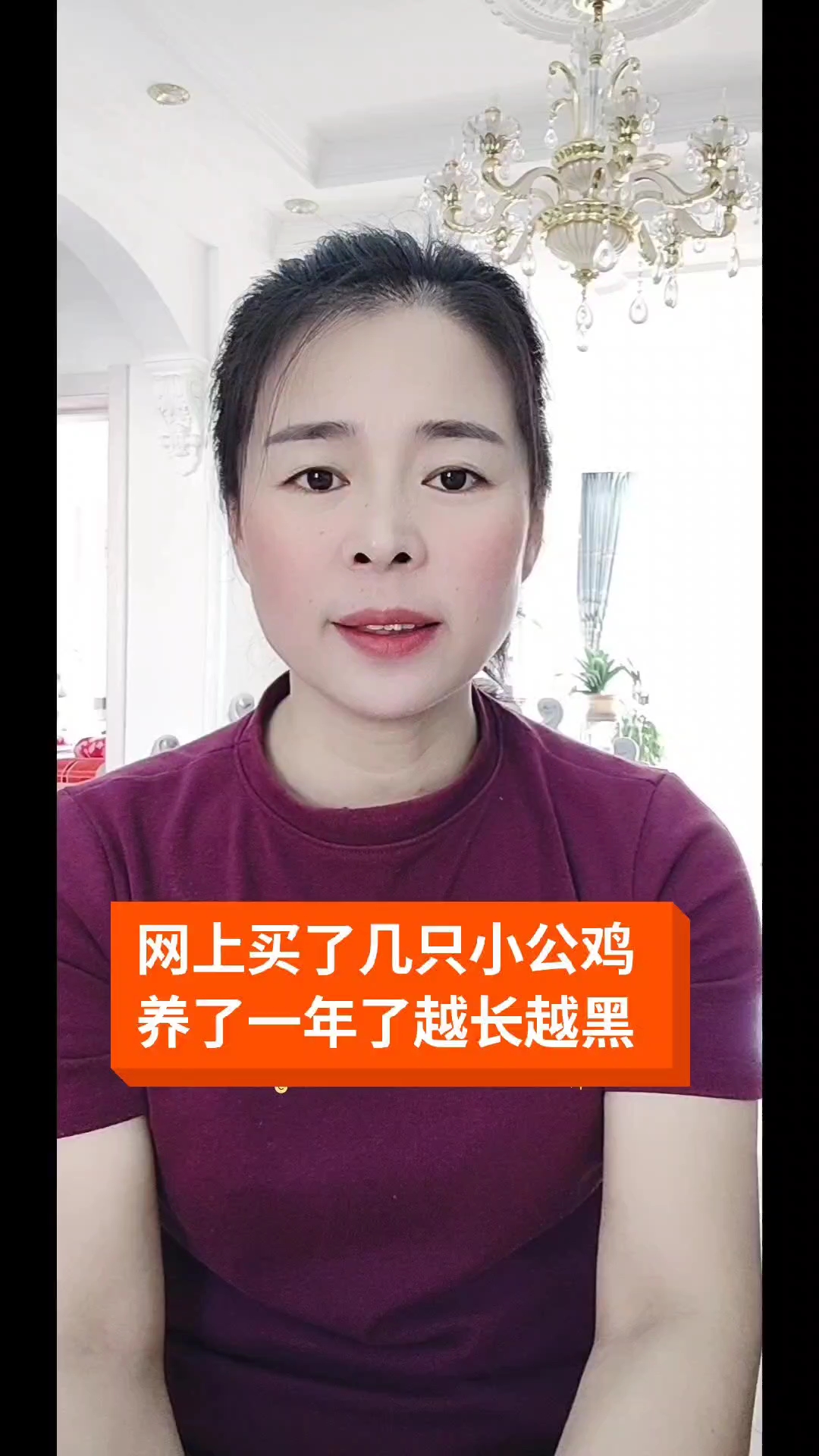 网上买了几只小公鸡,养了一年了,越长越黑