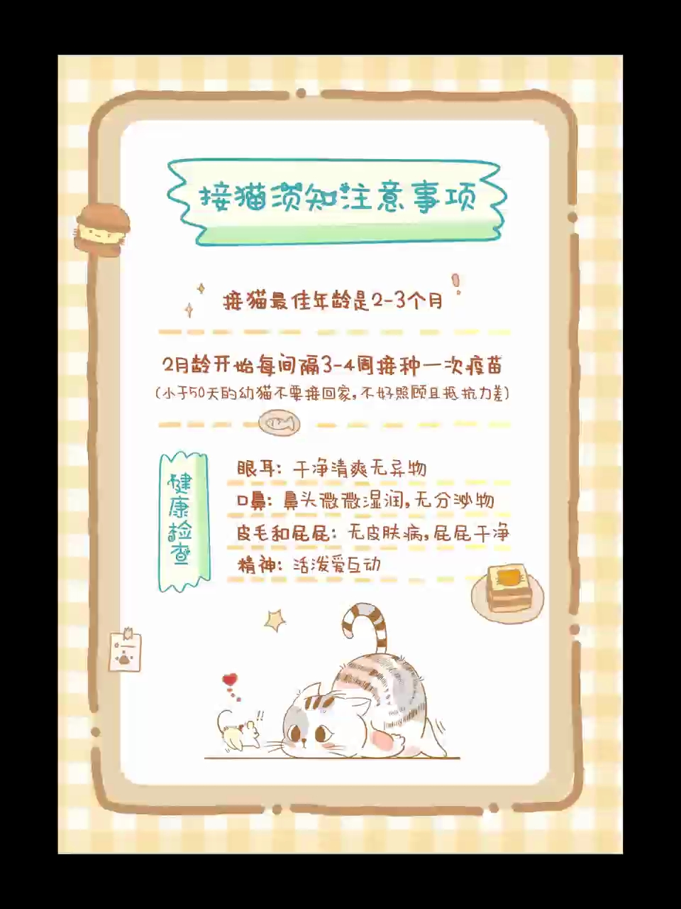 今日份海报|暖色黄色系手绘风#平面设计#宠物#设计过程