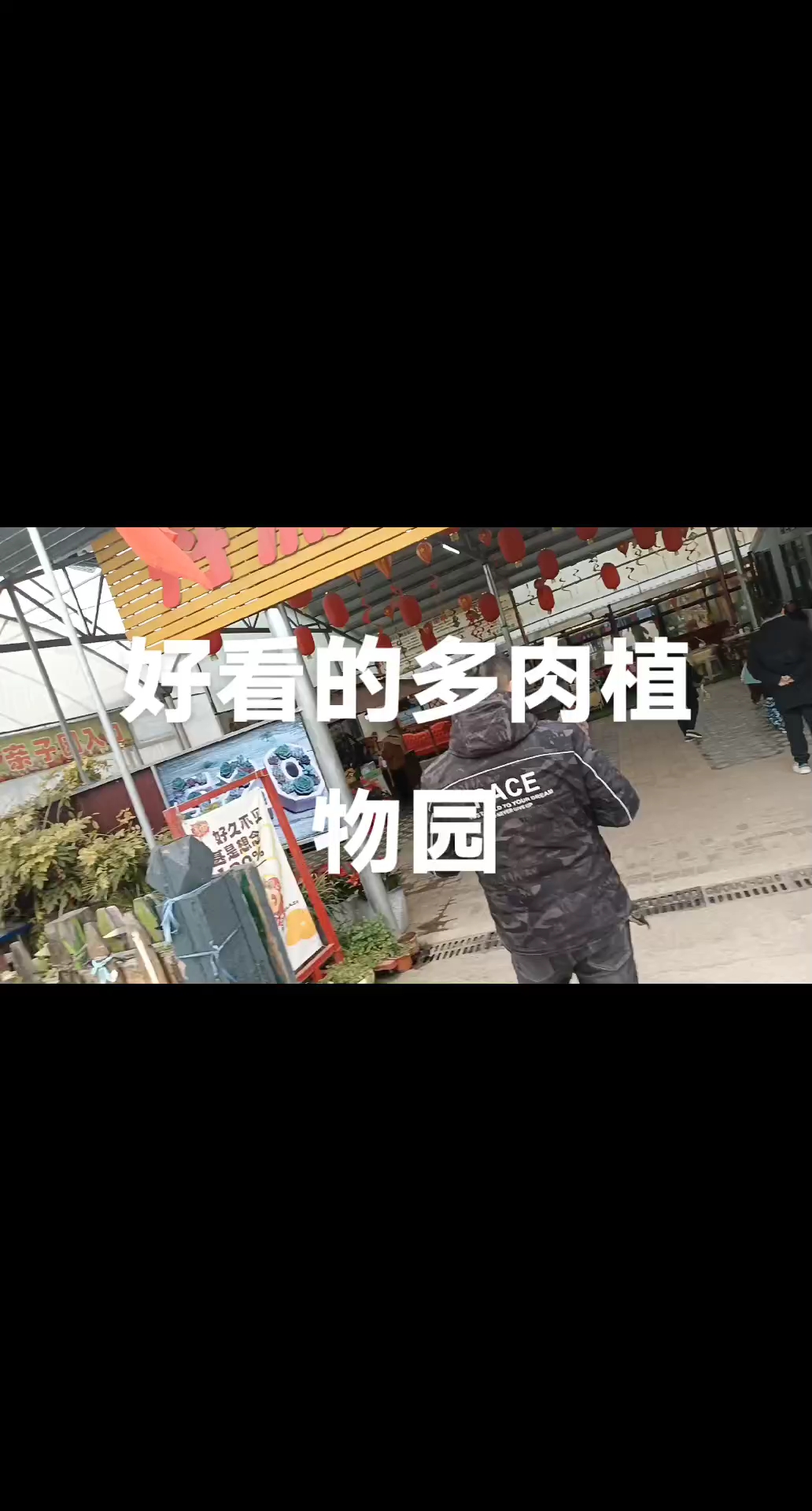 常德市的丹野花田景点之二,多肉植物园