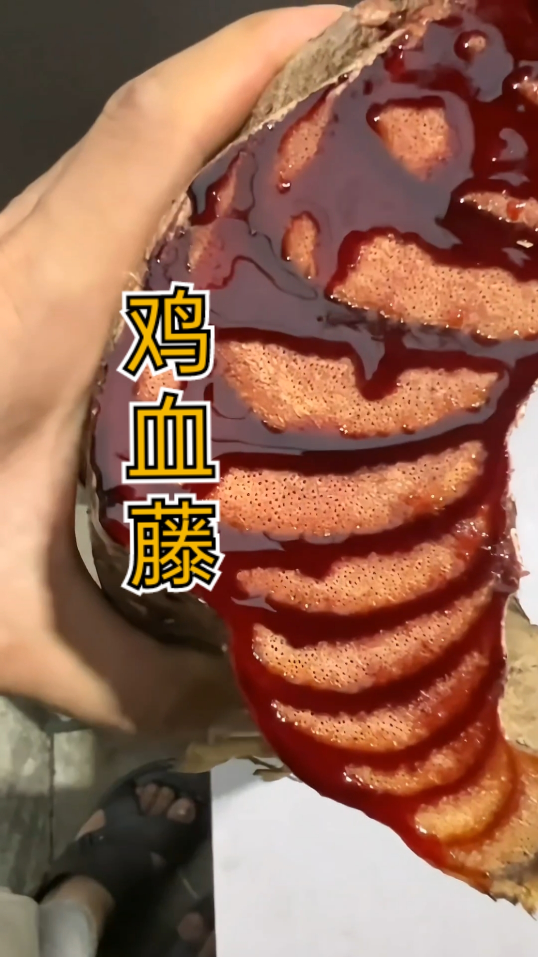 鸡血藤长这样子的
