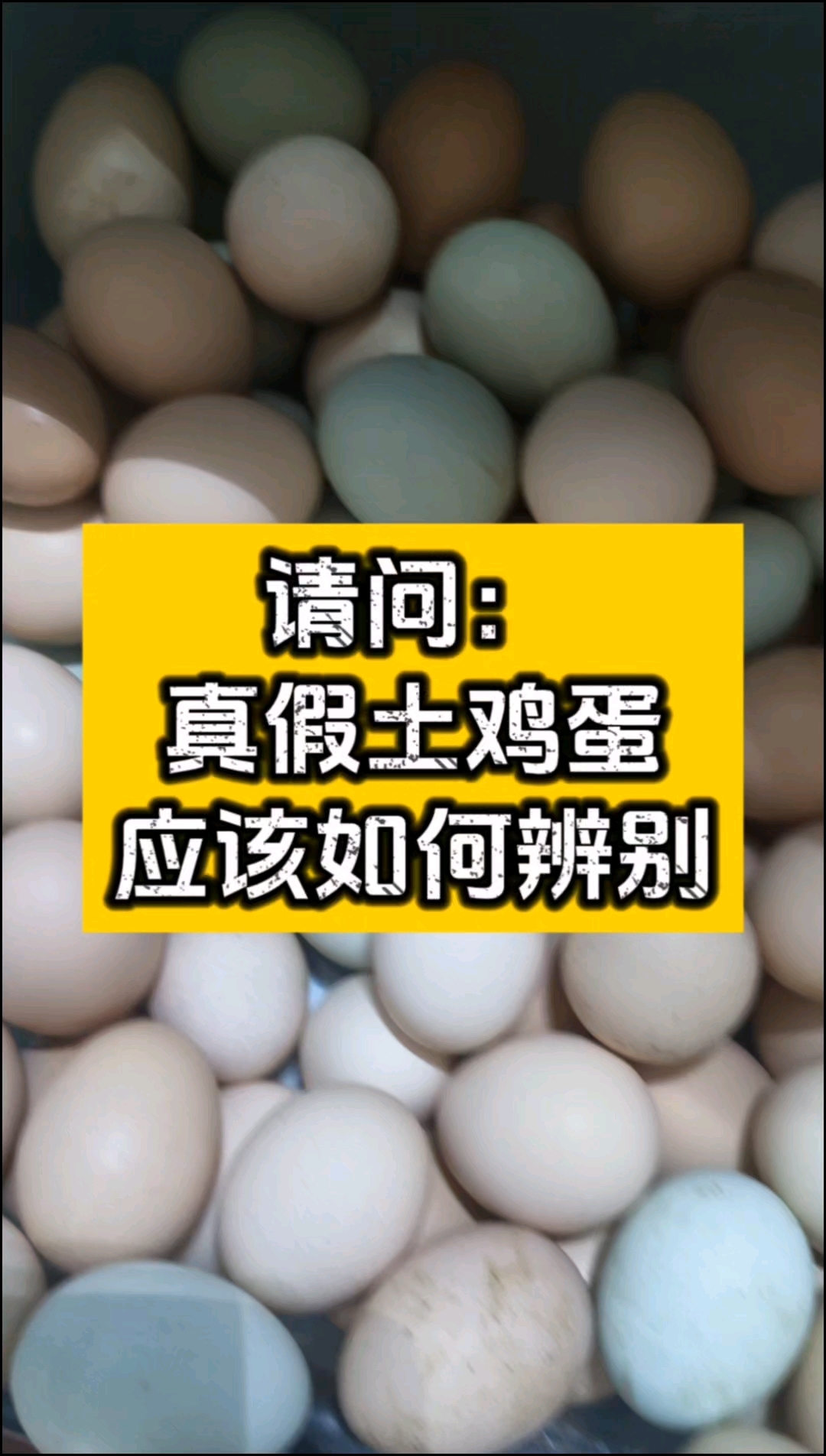 真假土鸡蛋应该如何辨别?