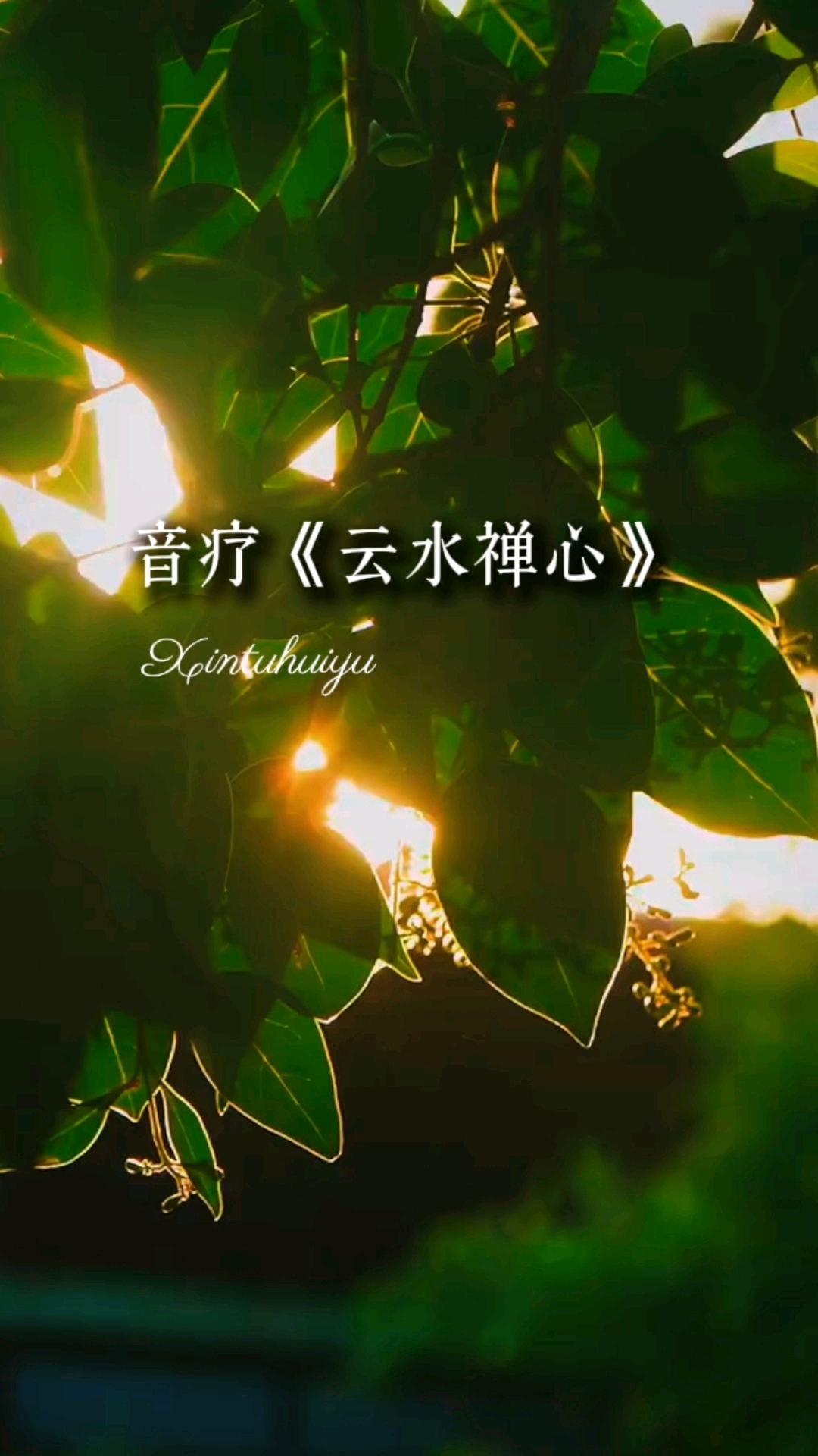 第1集音疗-《云水禅心》