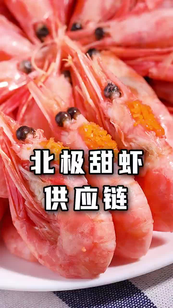高品质北极甜虾,供应链大揭秘!