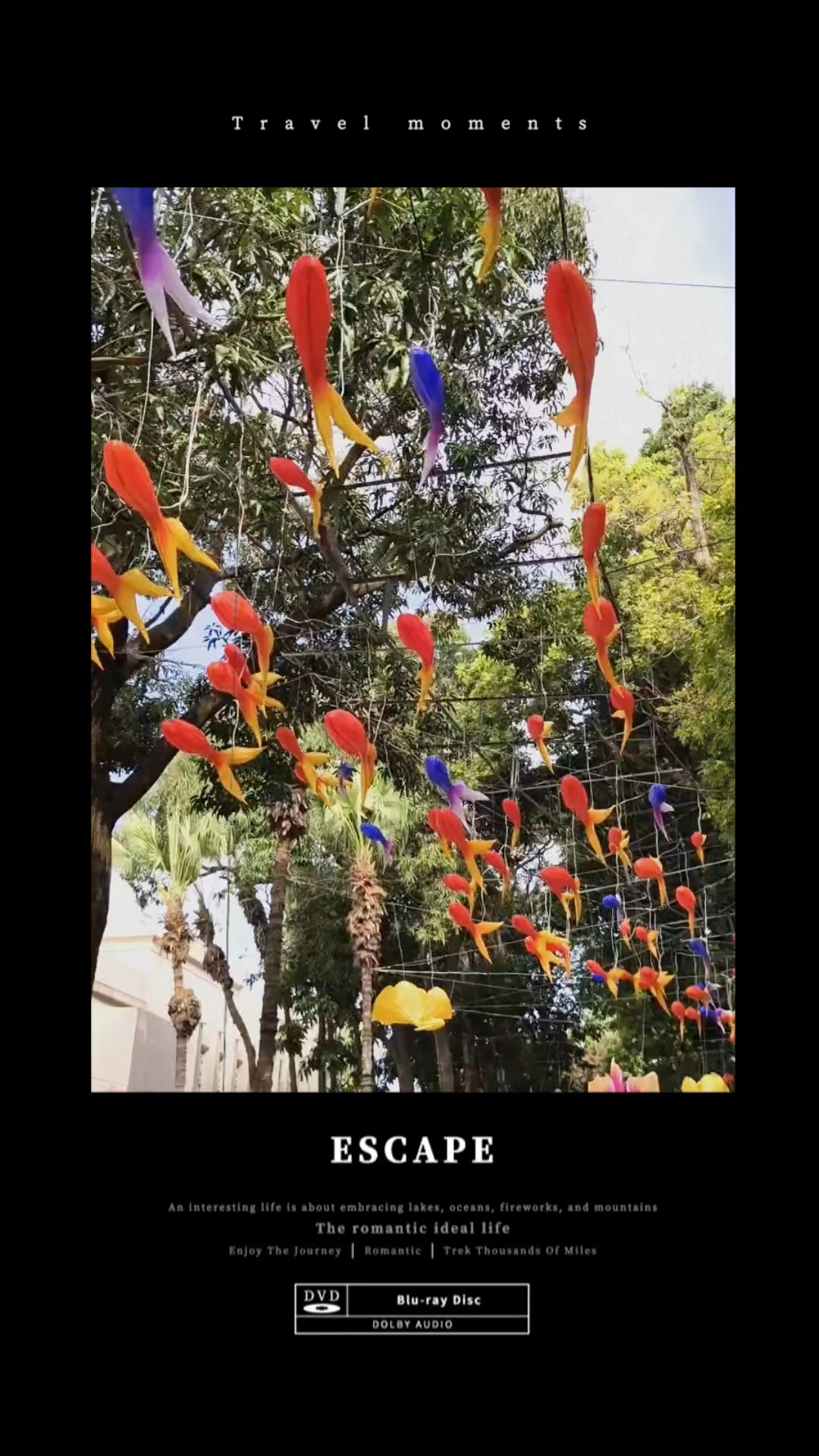 非遗鱼灯让广东新会的过年气氛与众不同