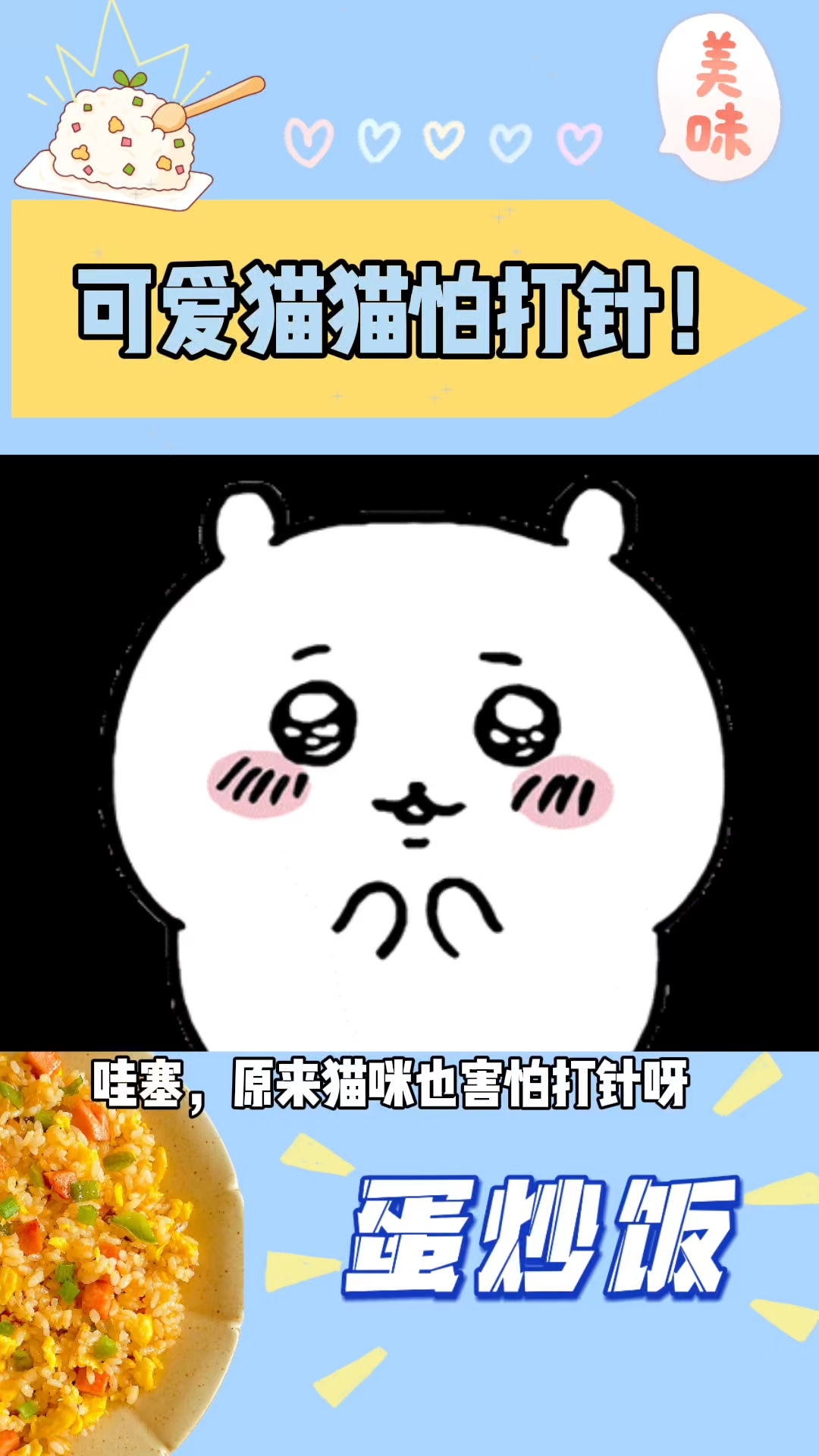 可爱猫猫打针!#整活了 #谁懂啊 #猫咪表情包 #卡哇伊 #