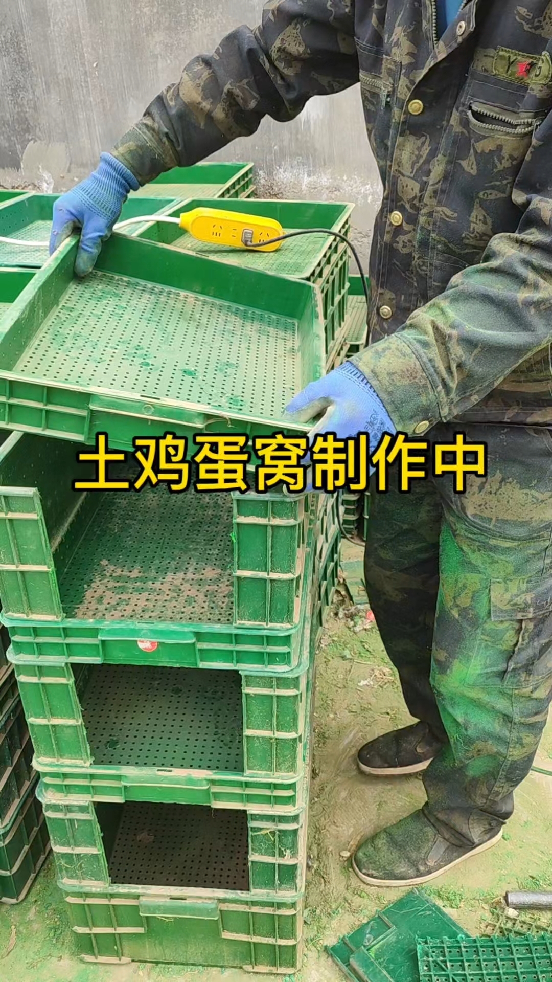生态散养土鸡和土鸡蛋