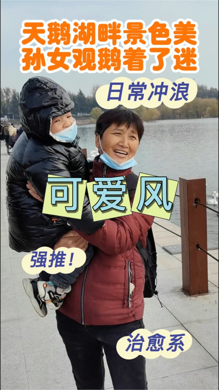 天鹅湖畔人潮涌,欢乐时光共分享,孙女观鹅入了迷