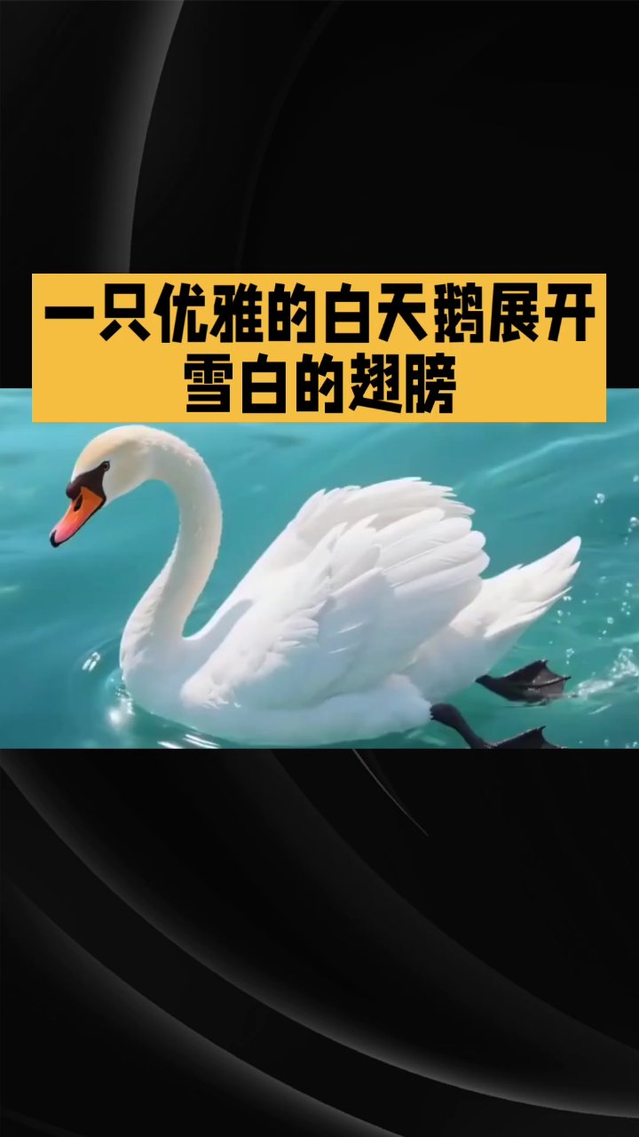 太空中飞行的白天鹅