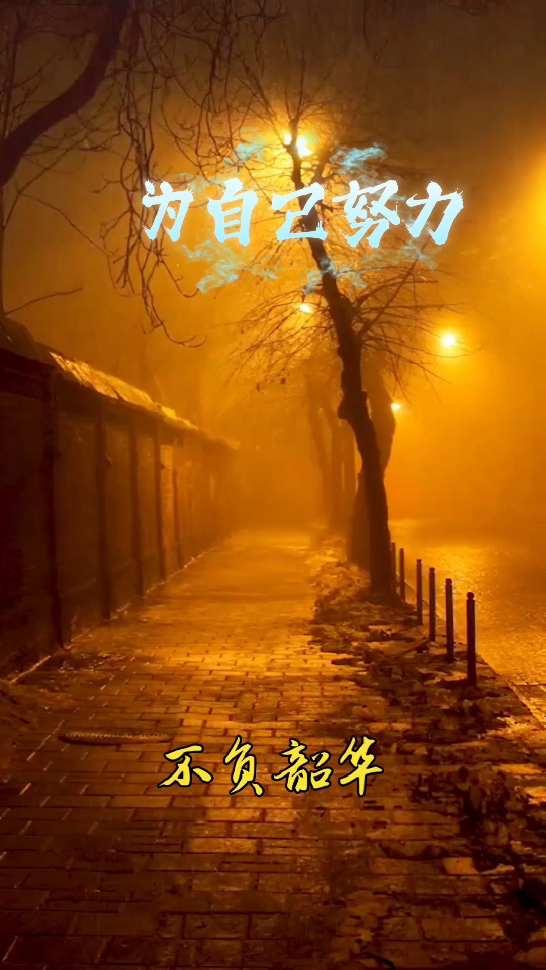 #情感语录#励志语录#励志正能量##努力不被辜负##城市孤独感#