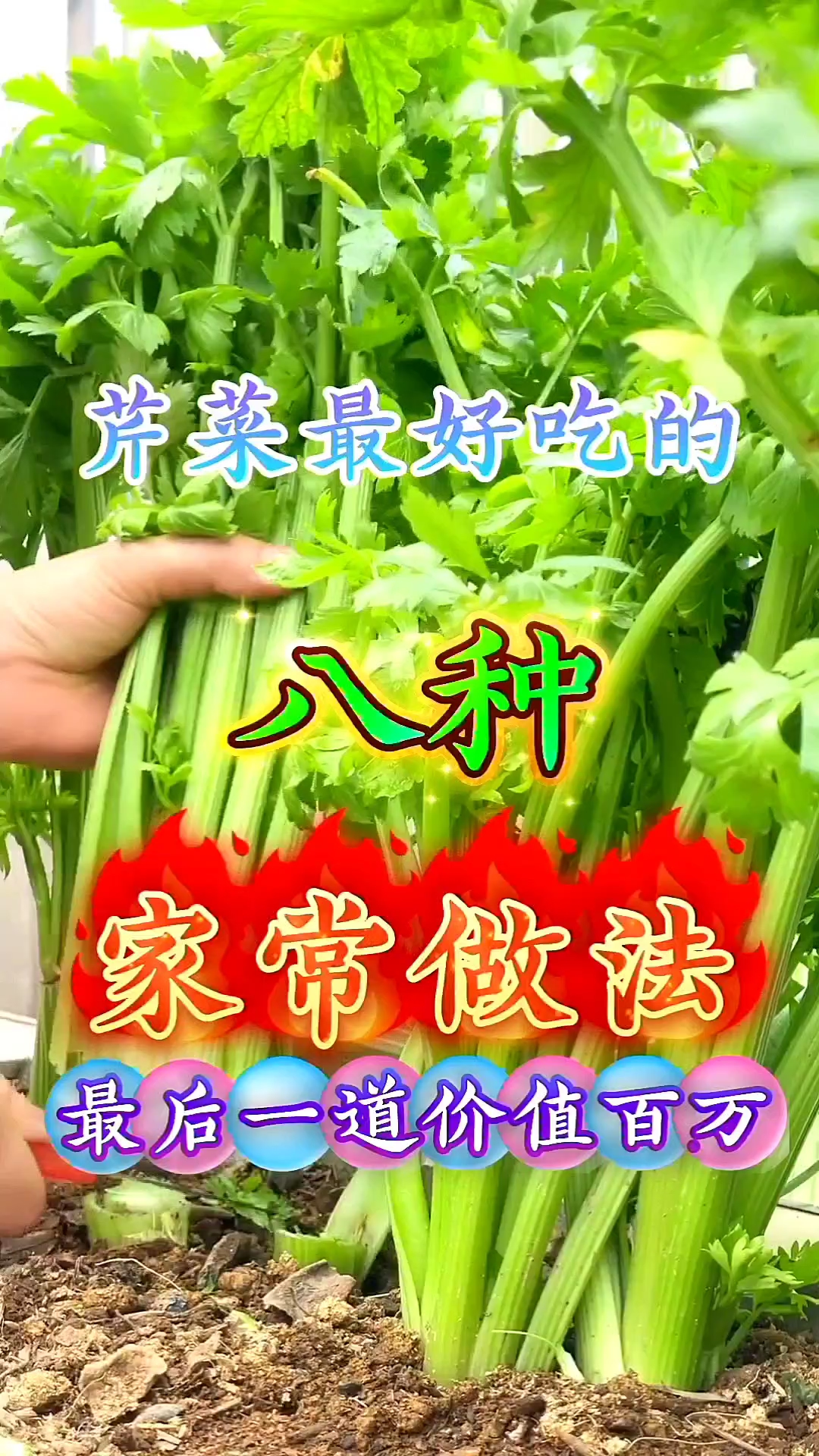 芹菜最好吃的八种家常做法