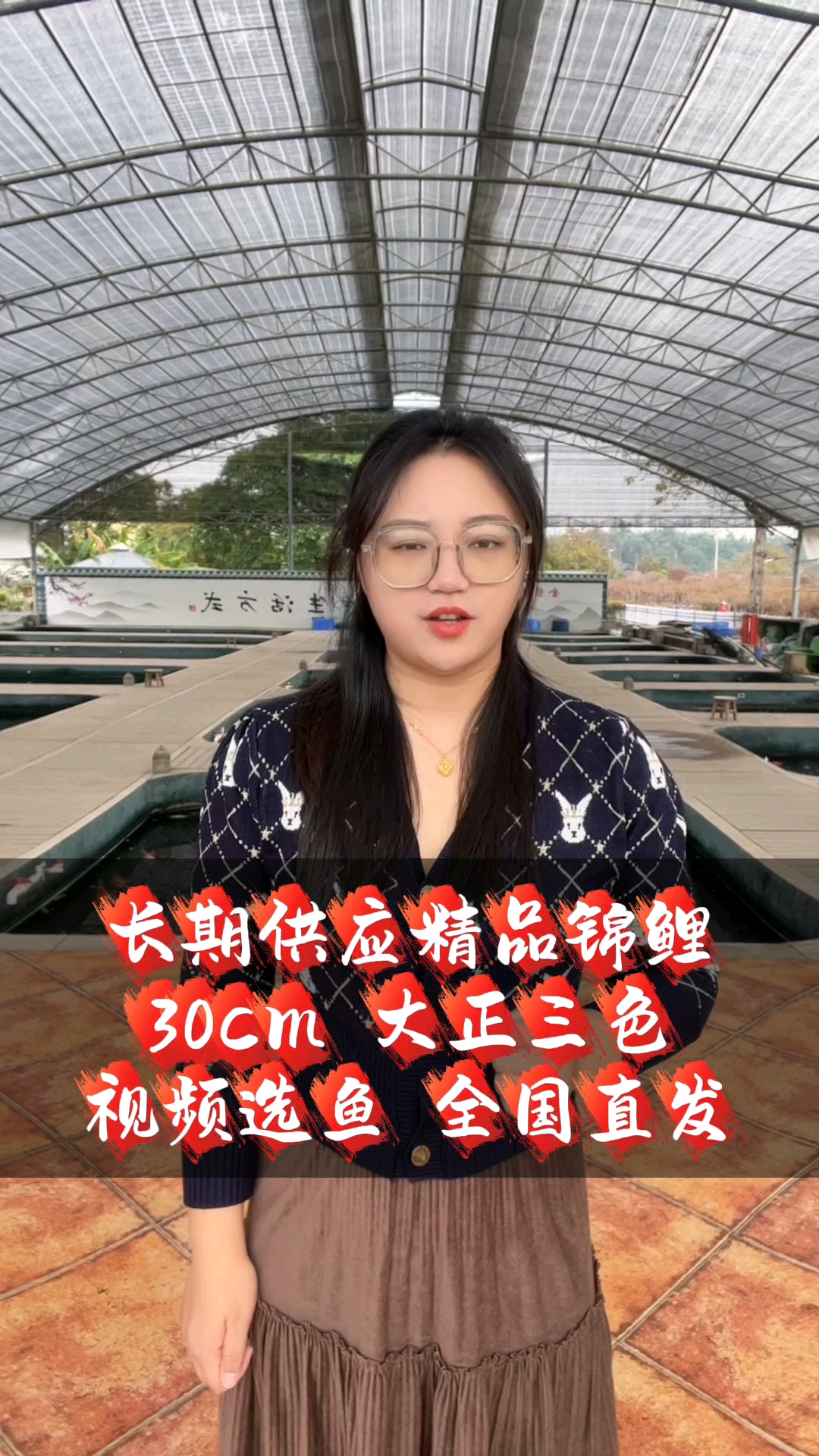 #大正三色#精品锦鲤#进口锦鲤#招财鱼