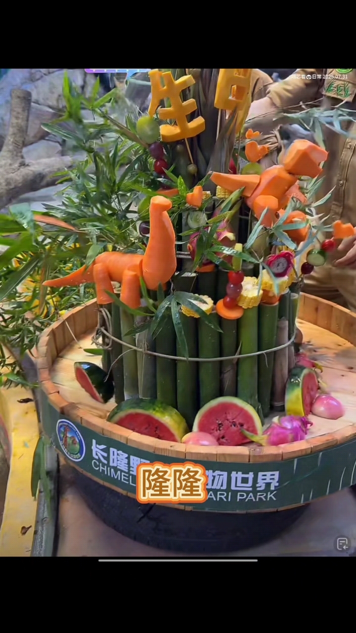 隆隆生日快乐，沉浸式隆隆食恐龙蛋糕