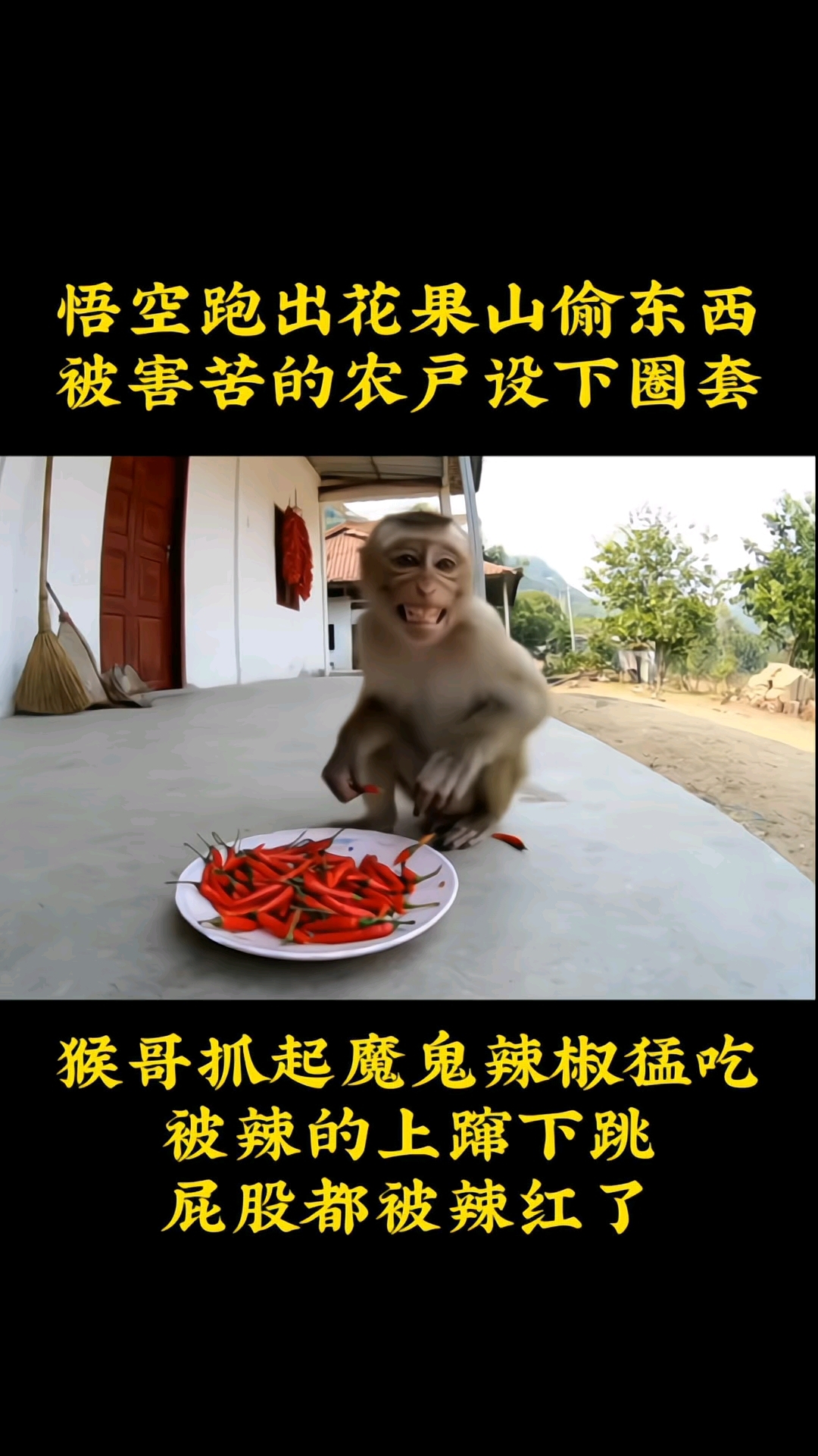 悟空下山偷吃辣椒??