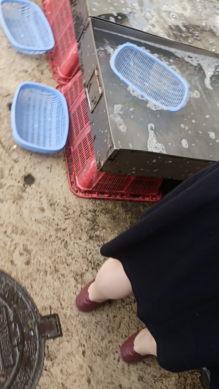 红色的鱼是什么鱼啊