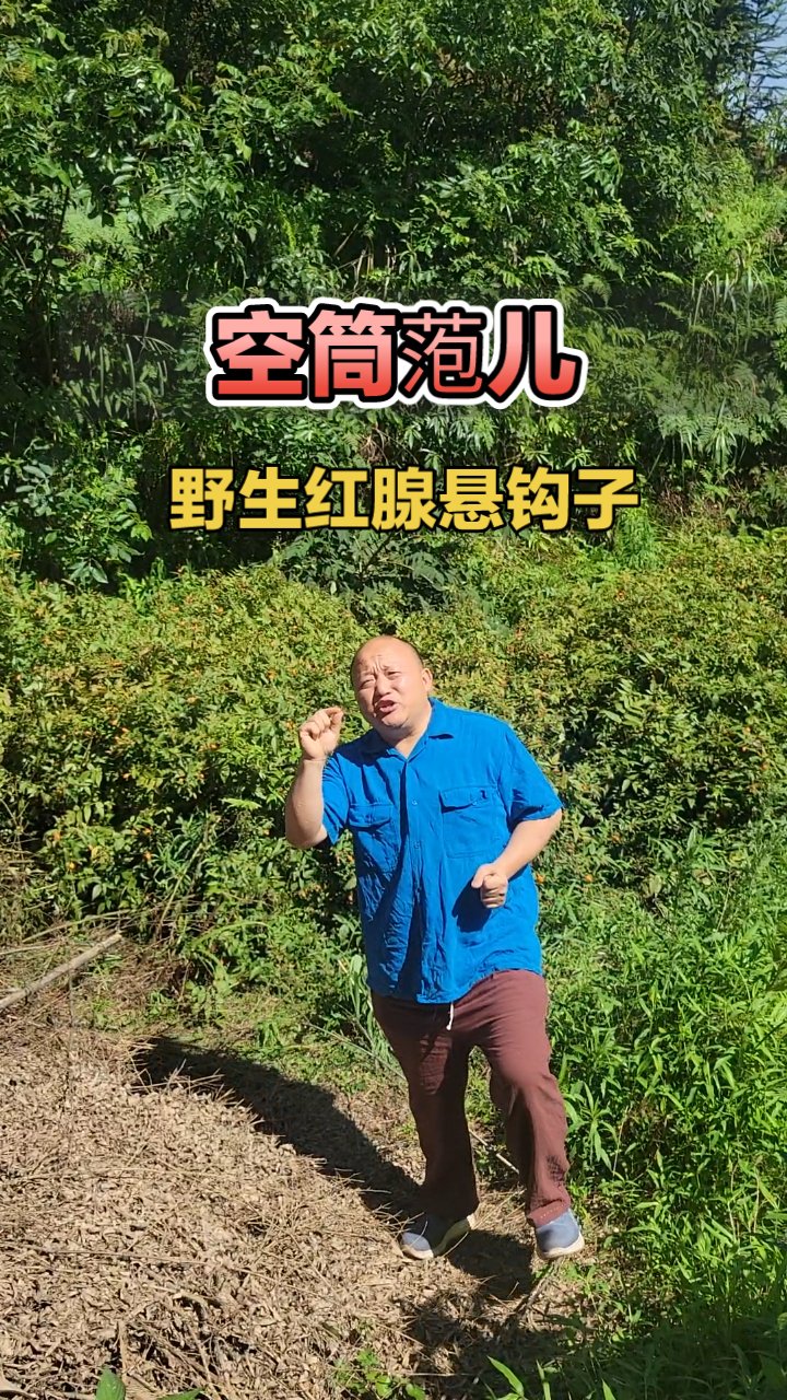 枝头