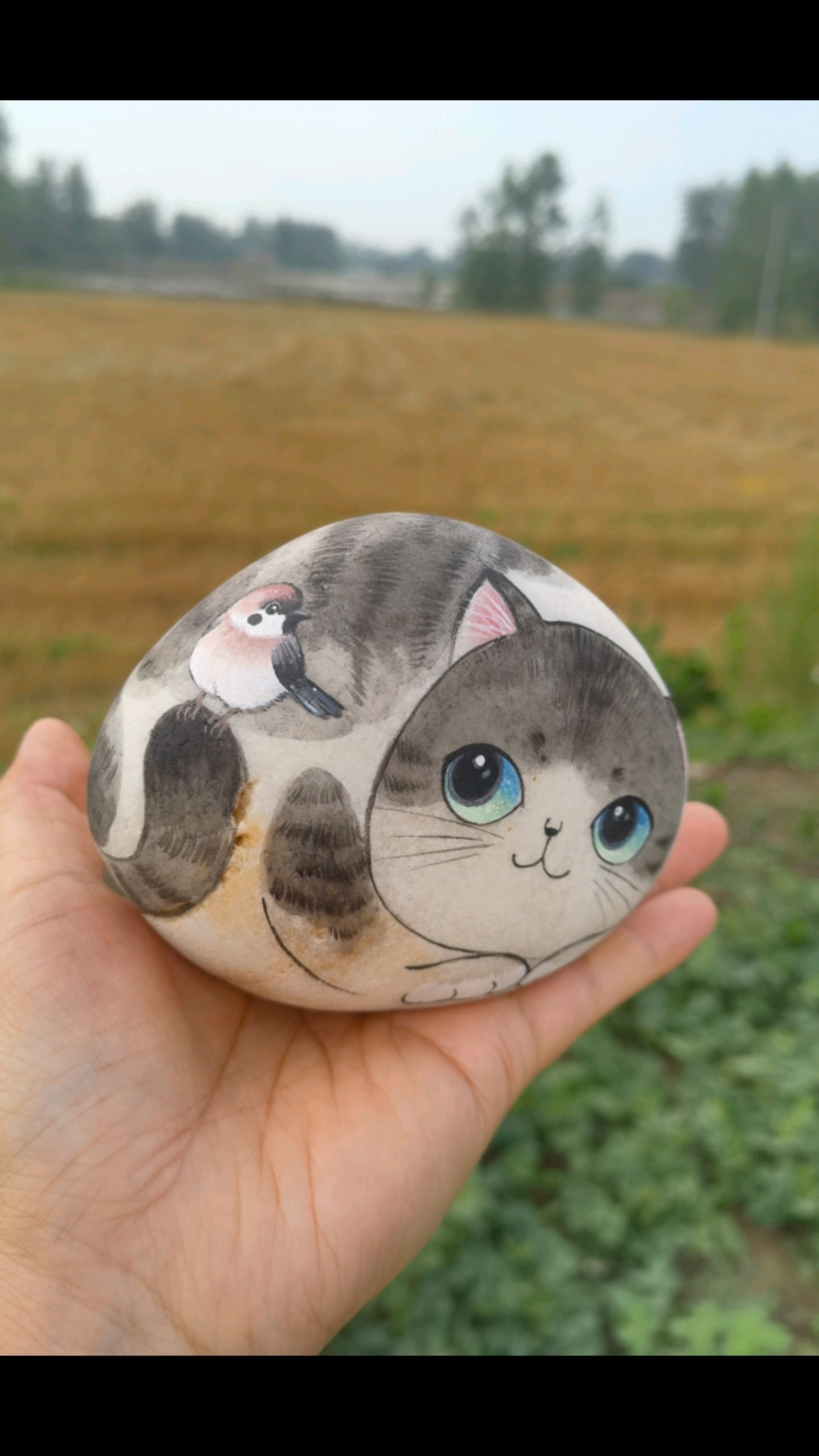 石头画猫咪#鹅卵石# #猫咪# #治愈系手作# #有趣# #创意# #石头上的小精灵#