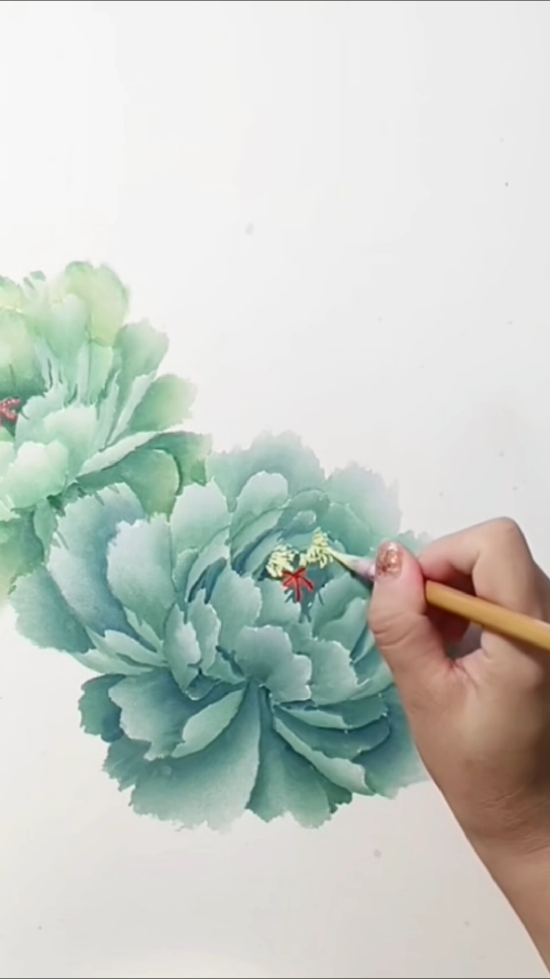 绿包菜牡丹的画法