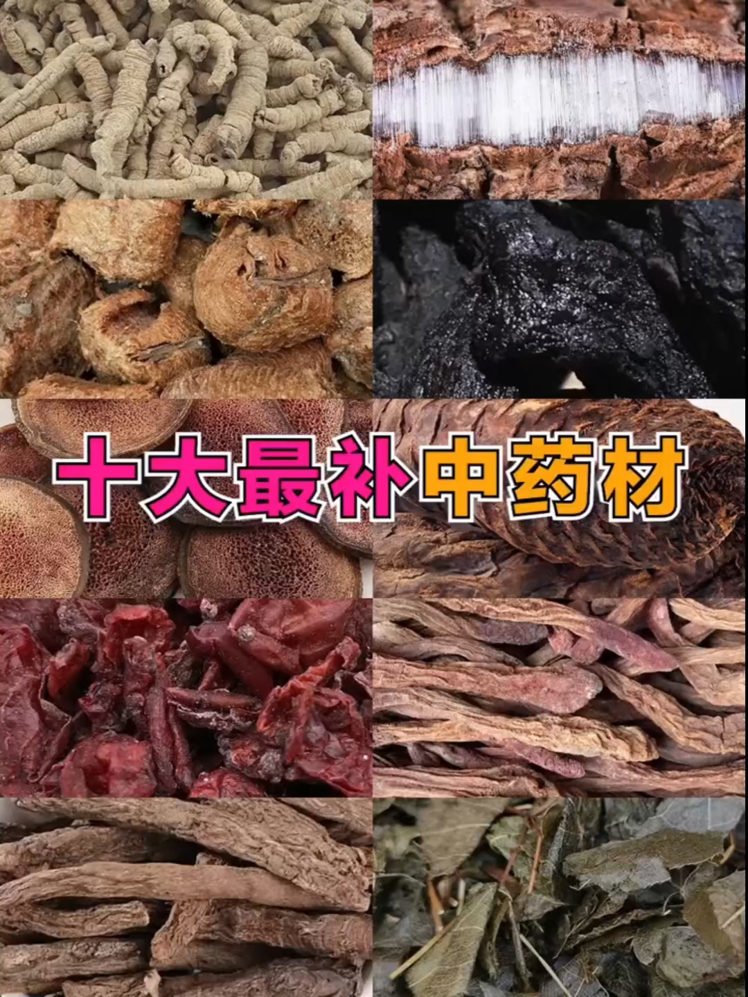 十大最补中药材,你知道有哪些
