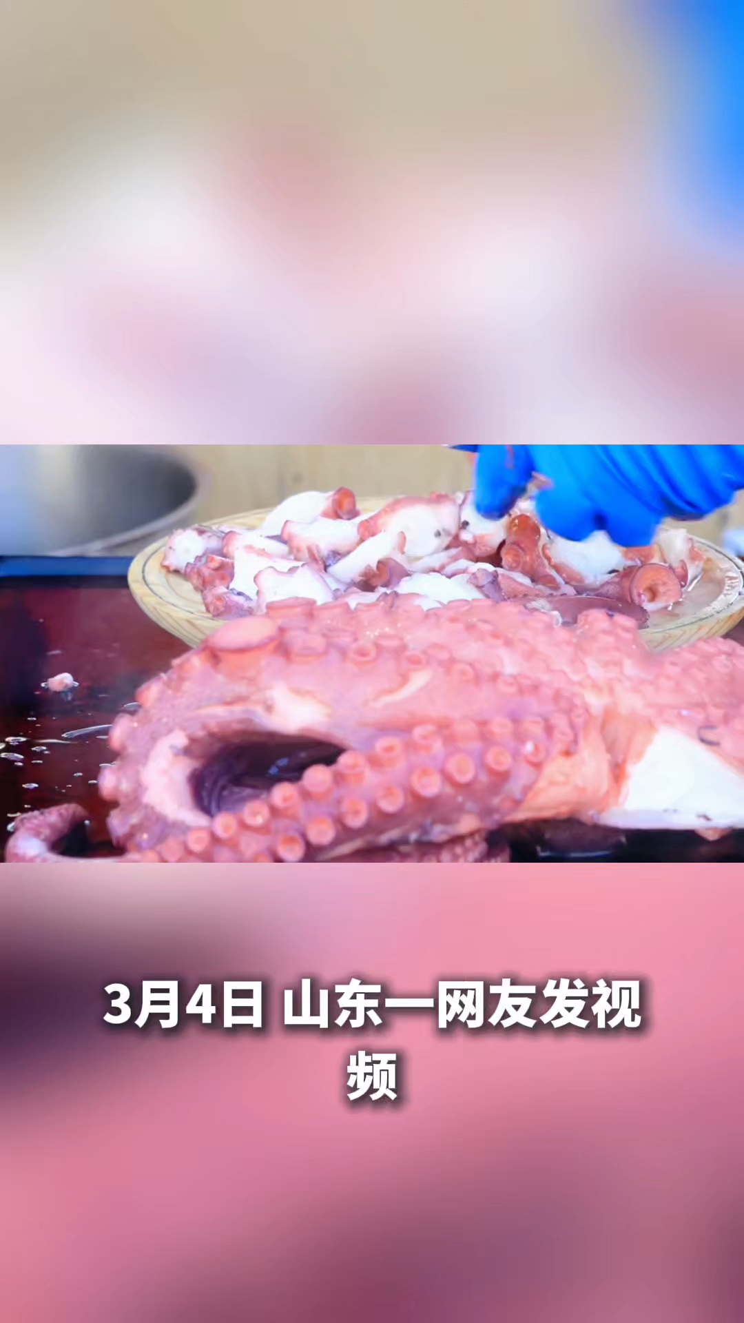 山东网友发视频,八爪鱼跑到车内找不到了     #弘扬正能量#网友神评论#这个事你怎么看