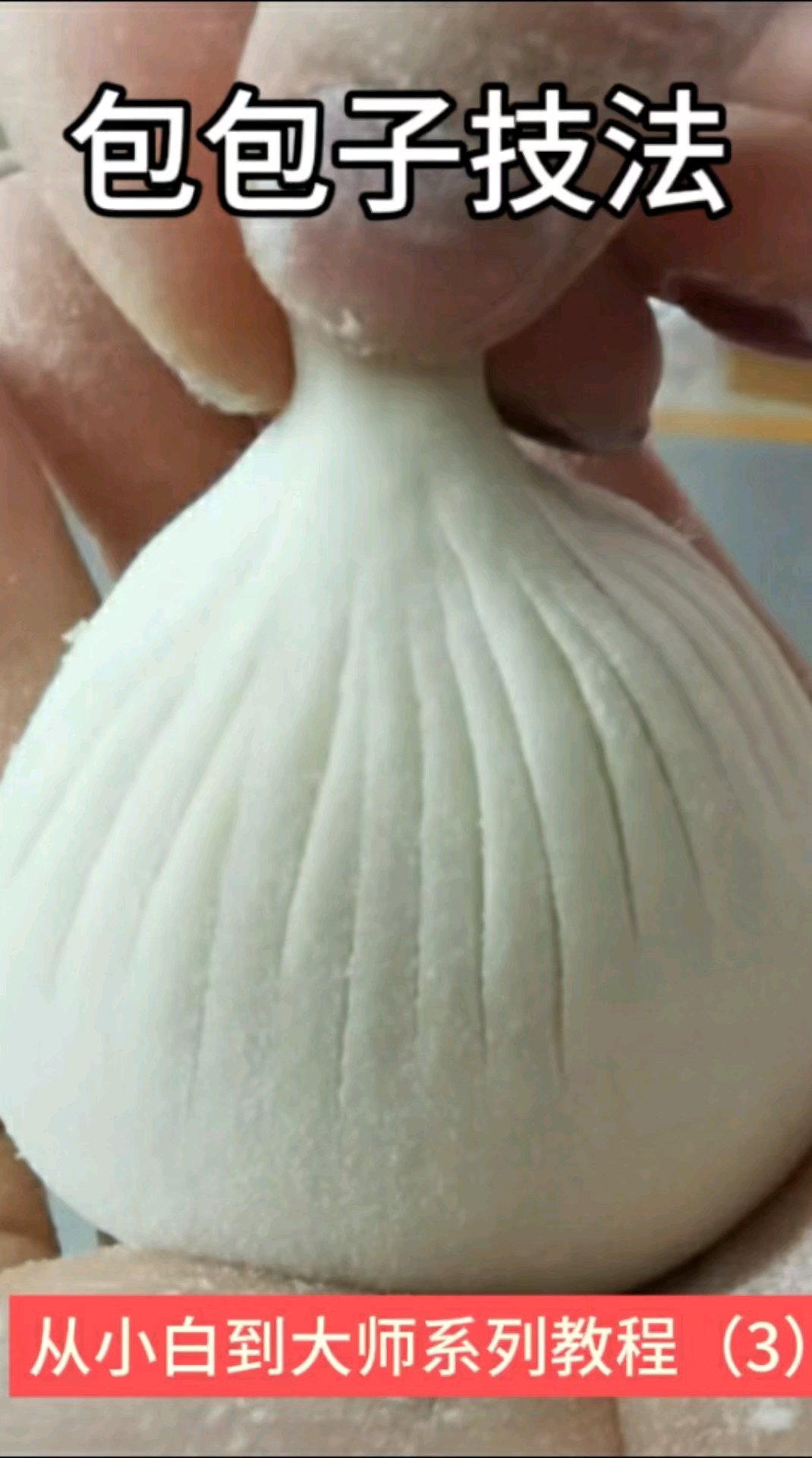 包包子技法从小白到大师系列教程(3)