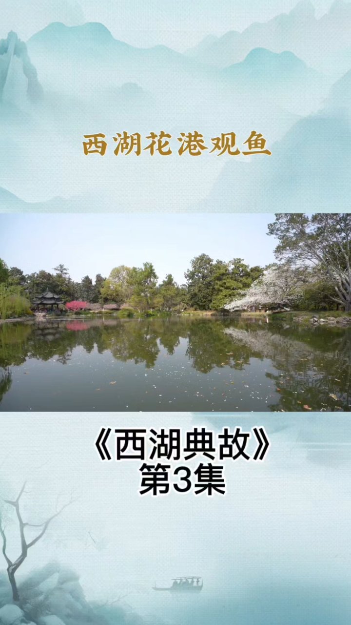 漫步花港观鱼，赴一场江南温柔之约#西湖花港观鱼 #杭州西湖