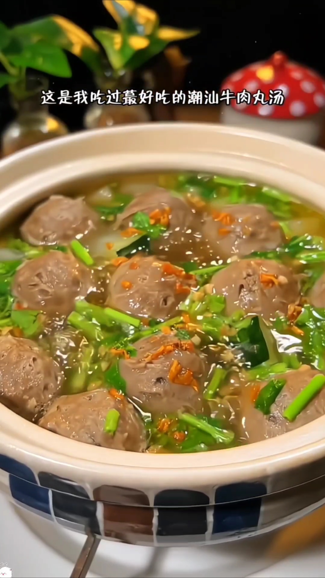 潮汕牛肉丸