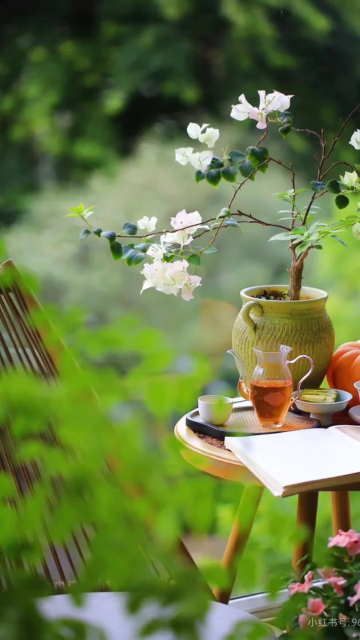 雨天宅家的仪式感,一杯茶一本书,治愈满分!#山茶花下午茶# #白鸡冠茶香# #忘山民宿时光
