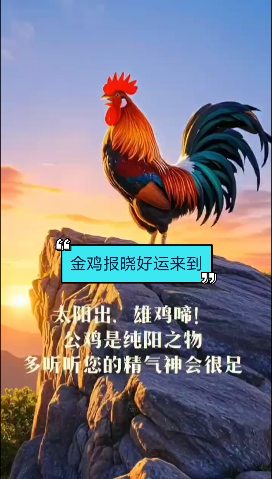 金鸡报晓好运来到