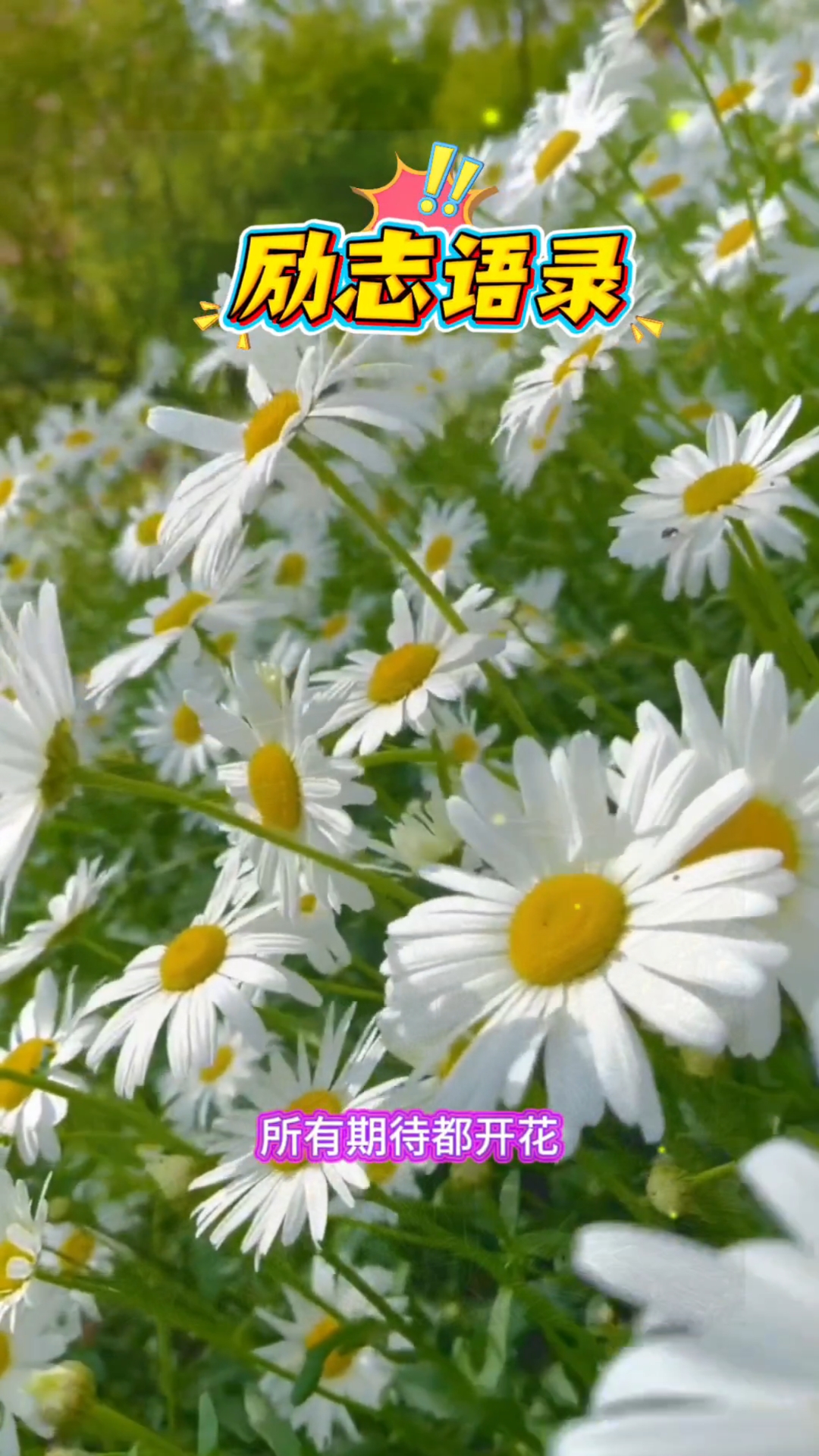 #励志语录#人生感悟#高考加油#考场沉着应战