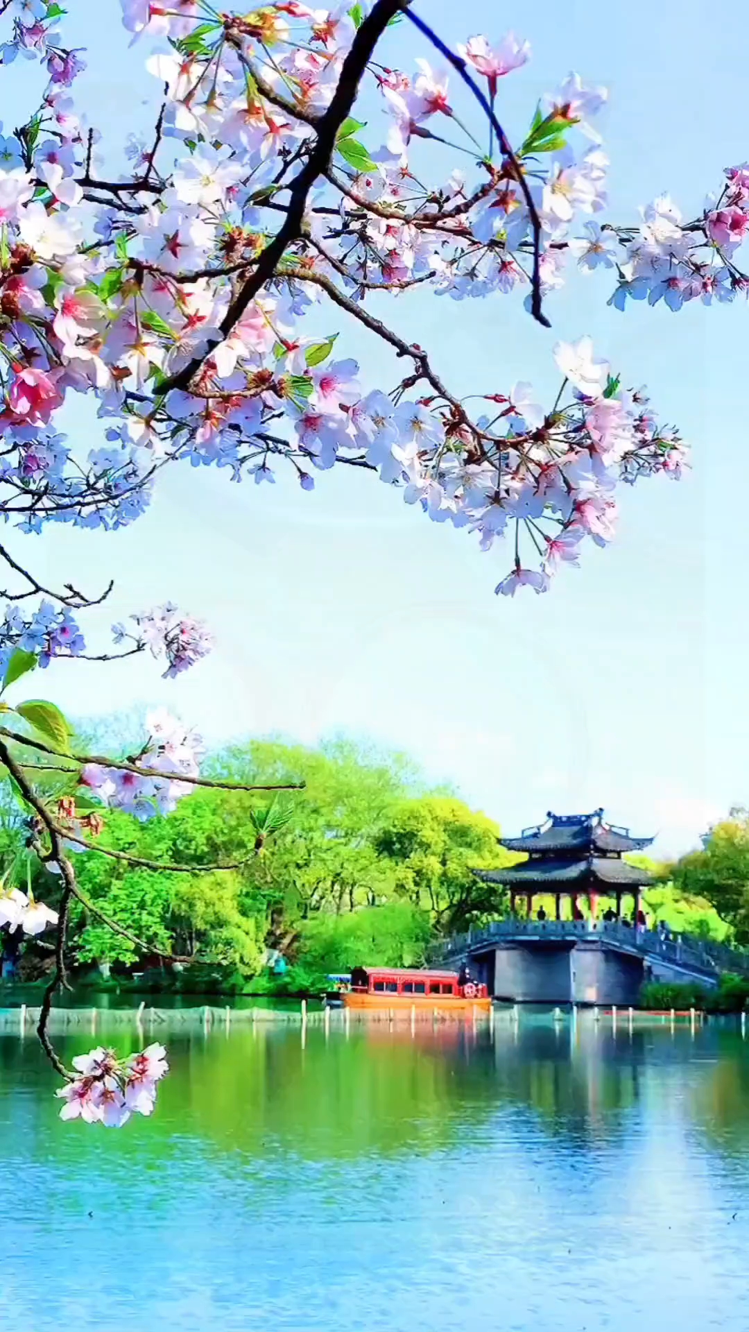 #励志语录#感悟人生#为高考生祝福