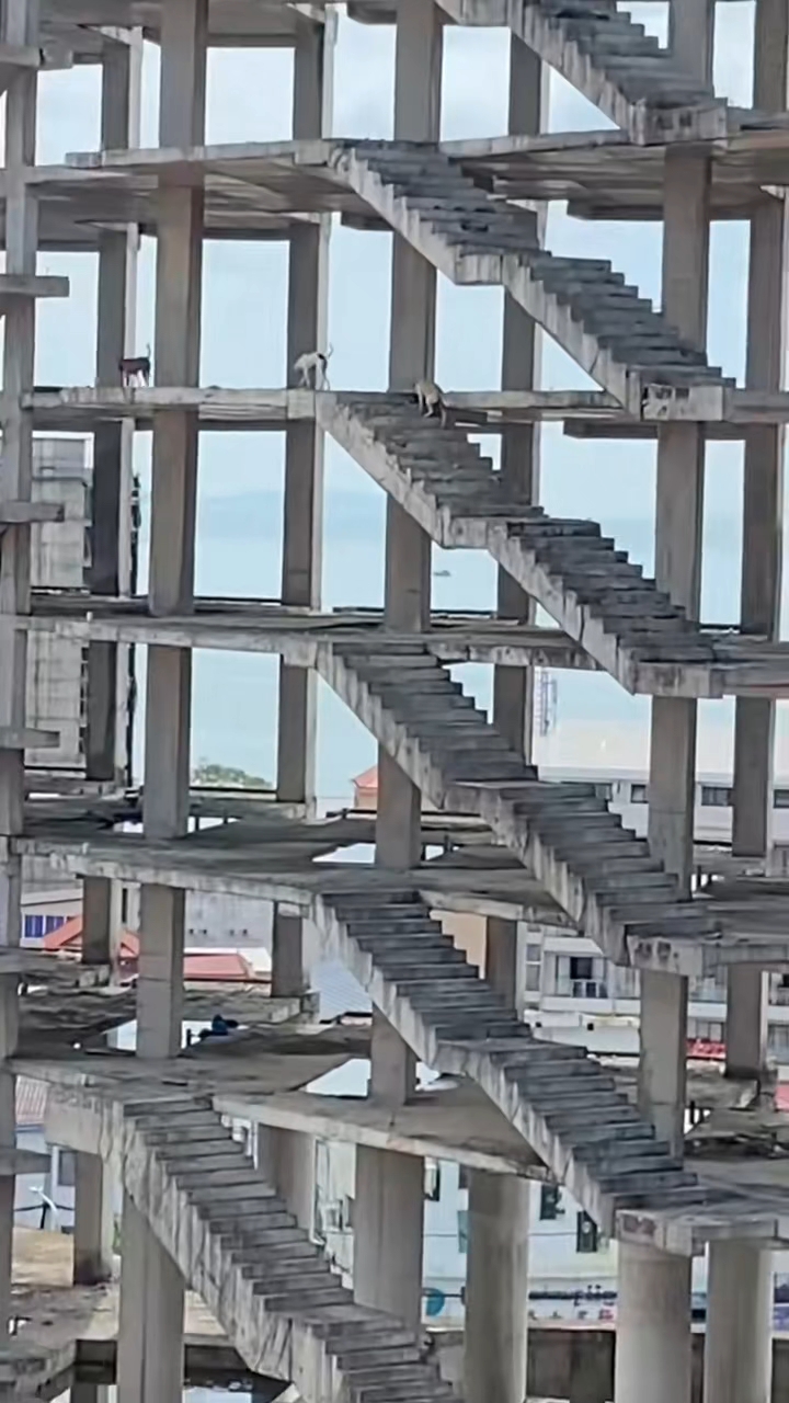 真实的吃鸡沙漠地图建筑