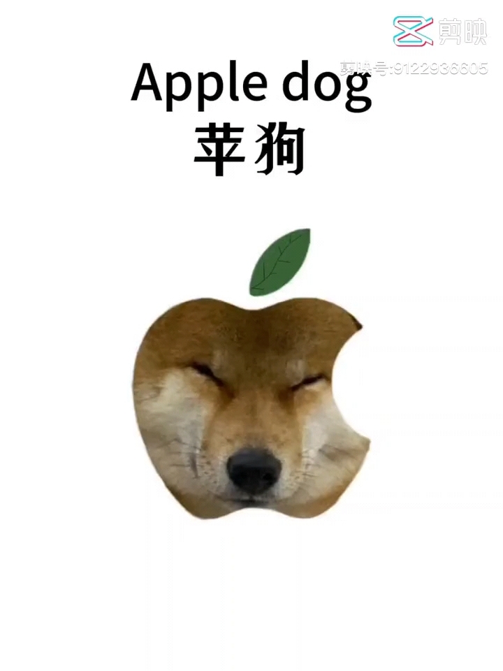 苹果芒果歌卡通画宠物版