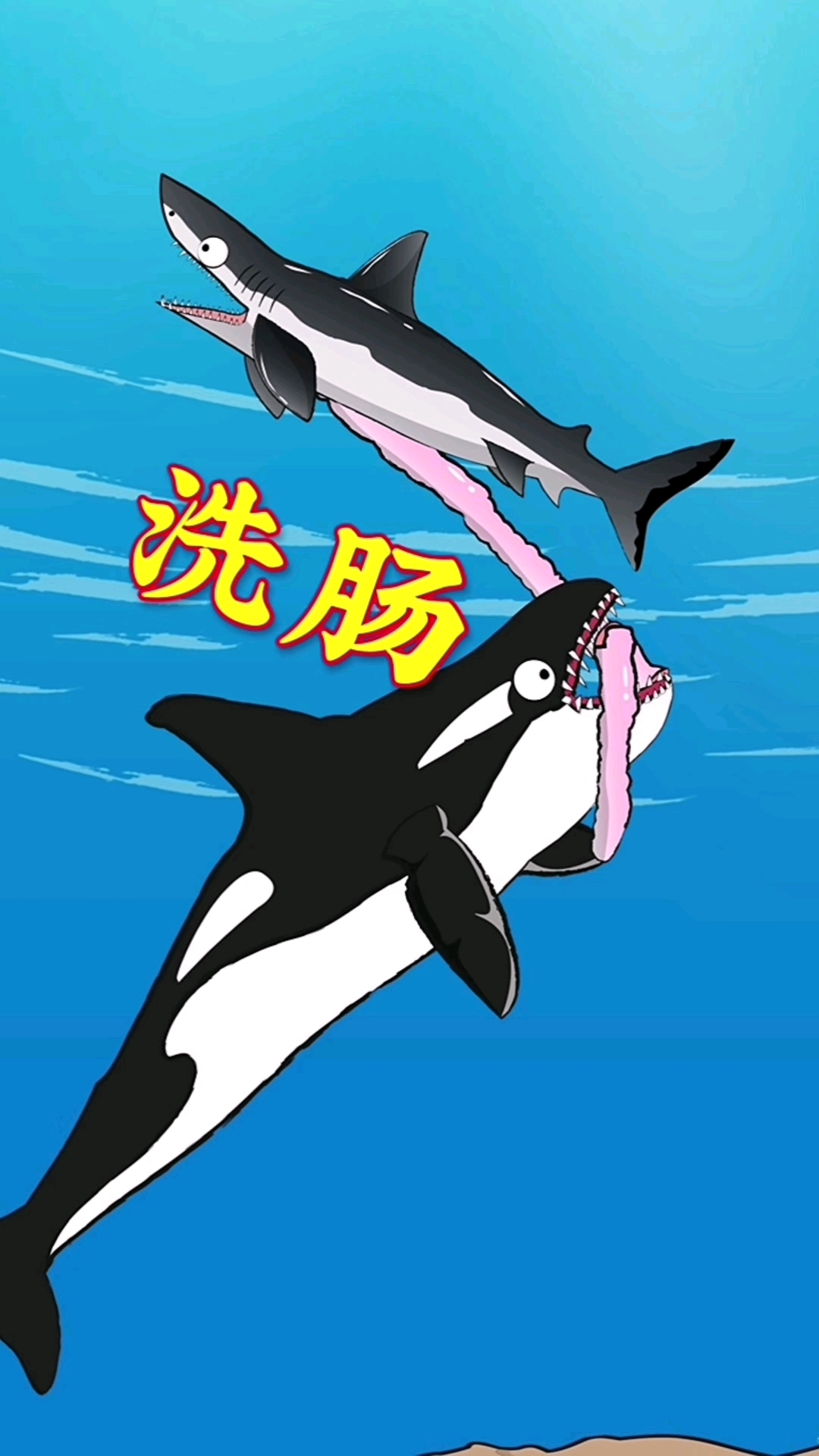 鲨鱼会通过“洗肠”来清理寄生虫!