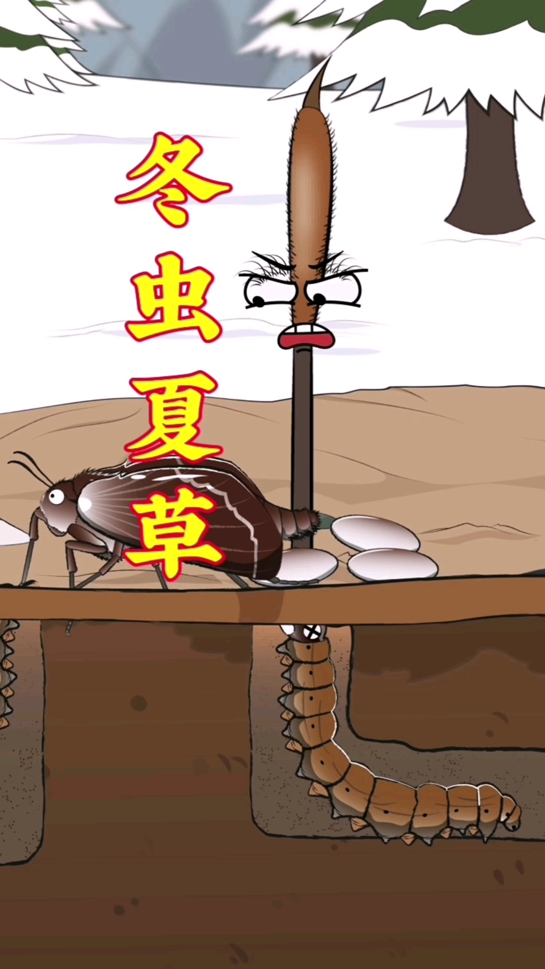 冬虫夏草到底是怎么产生的?