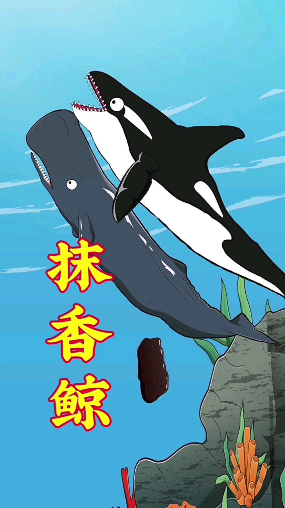 “龙涎香”确实是抹香鲸产生的!