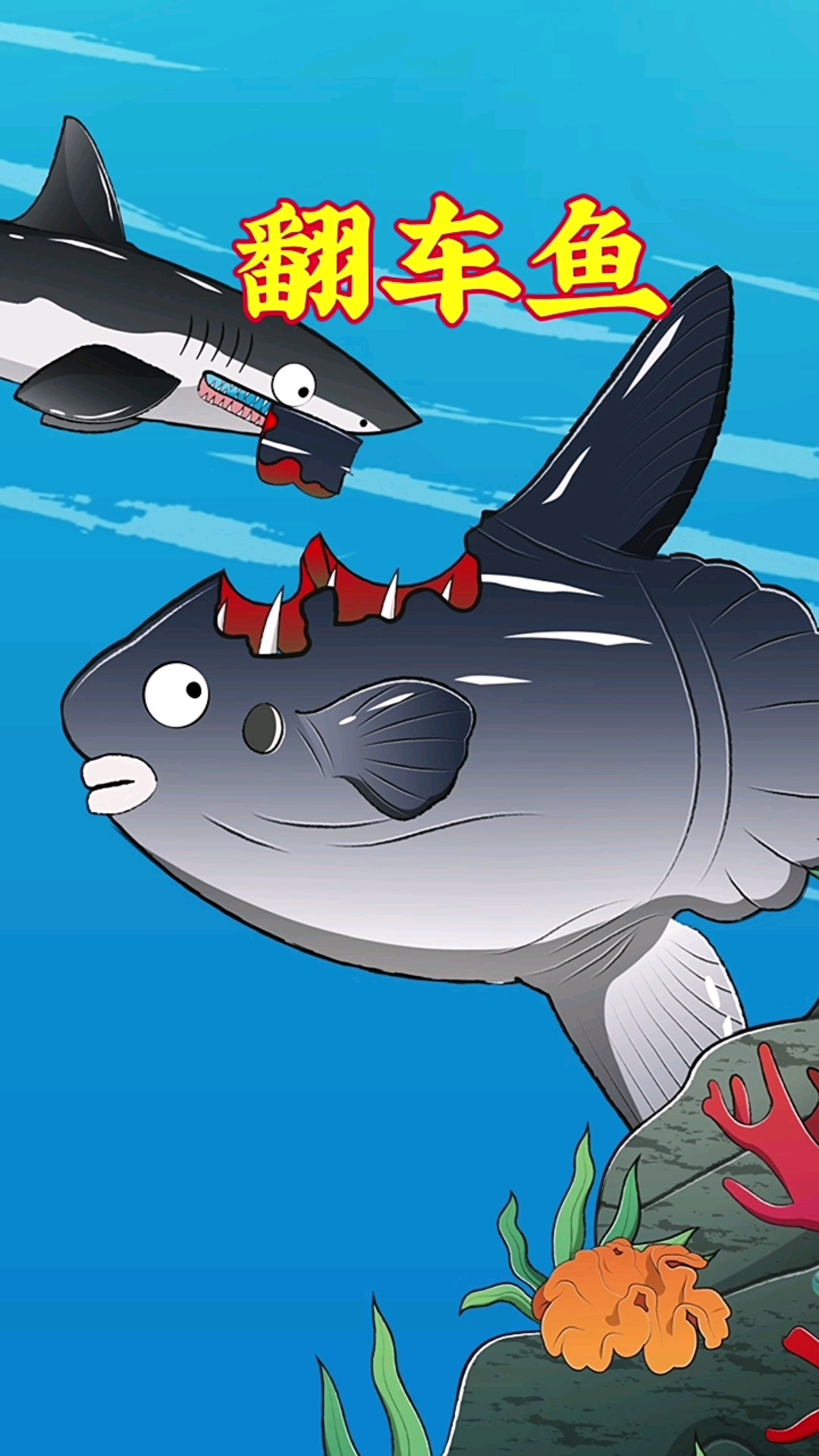 翻车鱼靠着这项“绝活儿”活了1亿年!