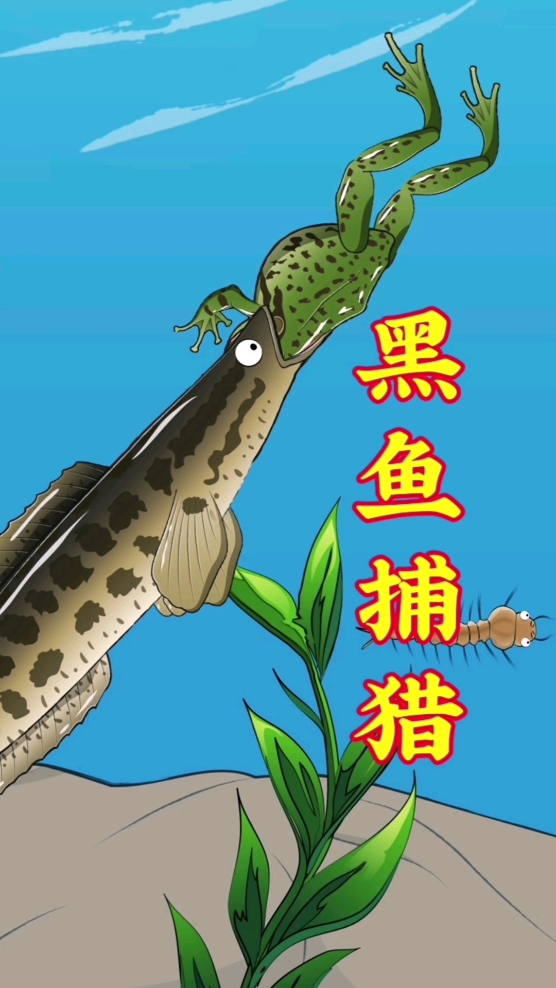 黑鱼喜欢吃正在运动的目标!