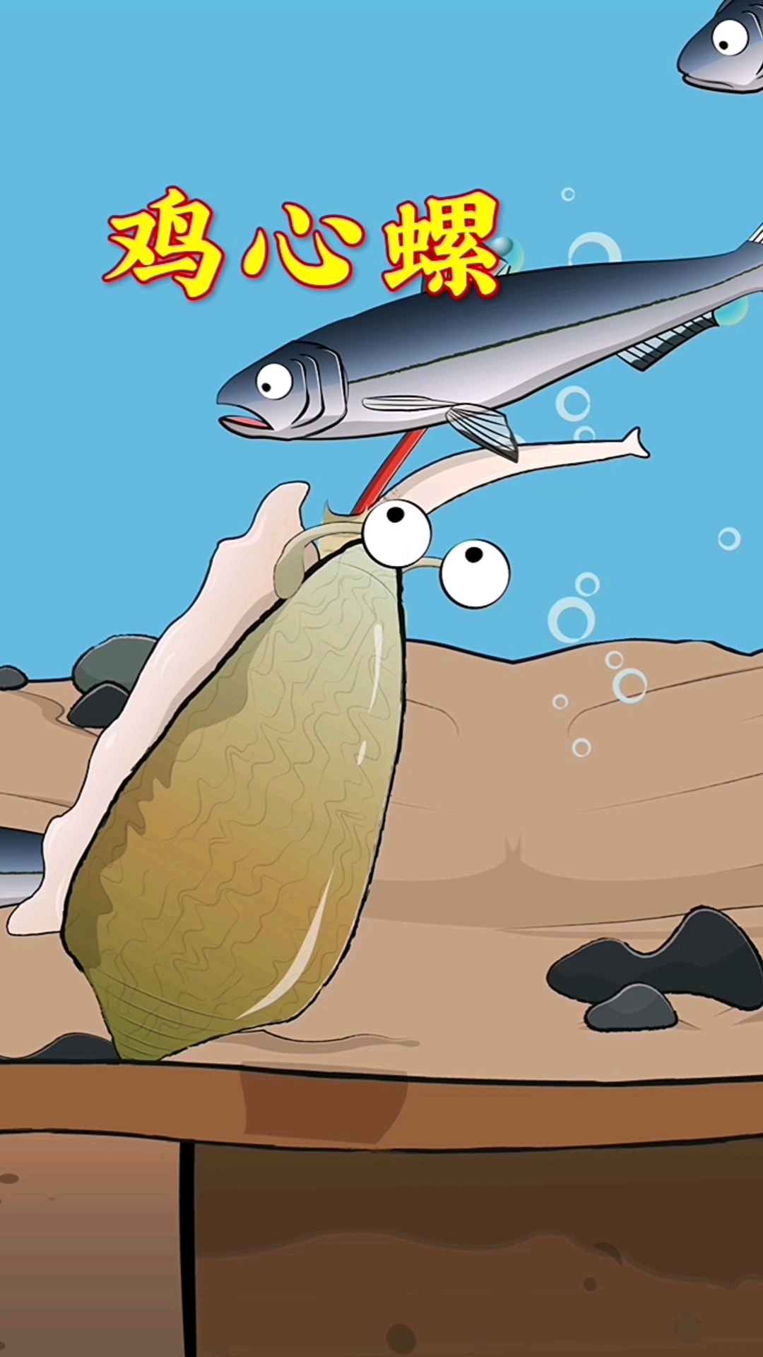 你知道鸡心螺是怎么捕猎的吗?