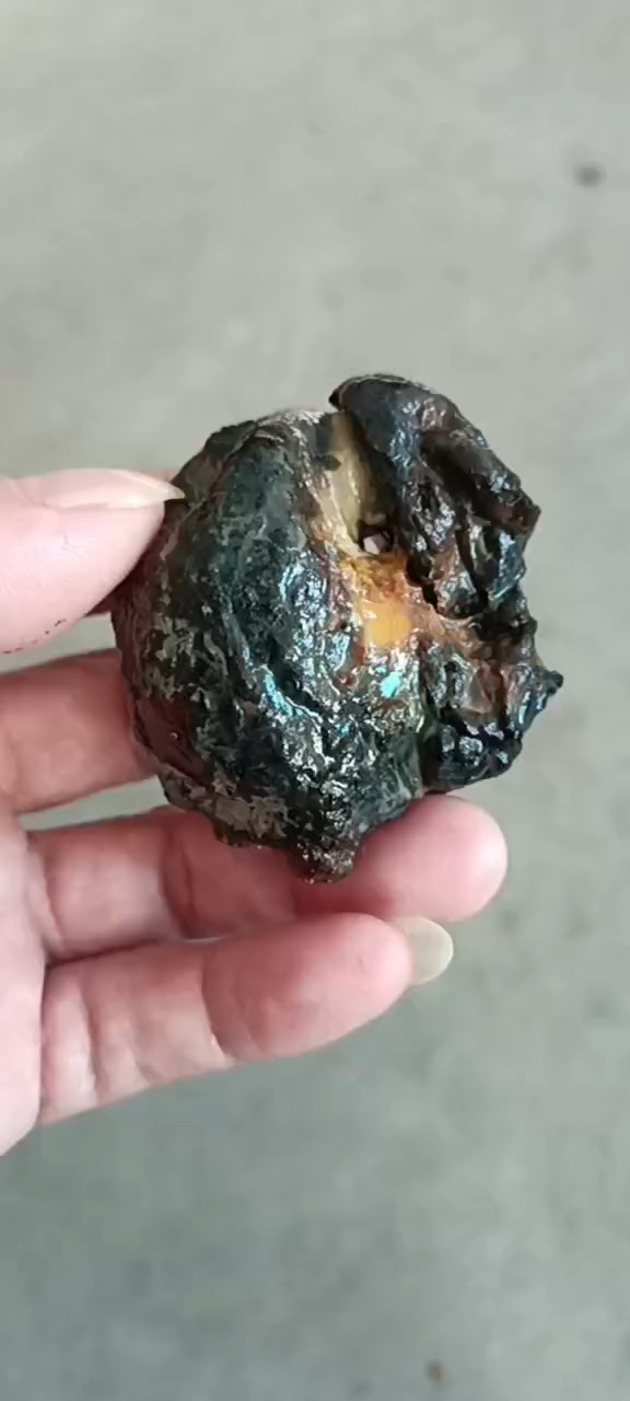 鹅肚子里出来的!
