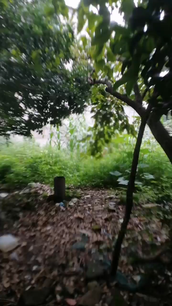 优美歌喉!小菜园的魅力!毕业快乐!