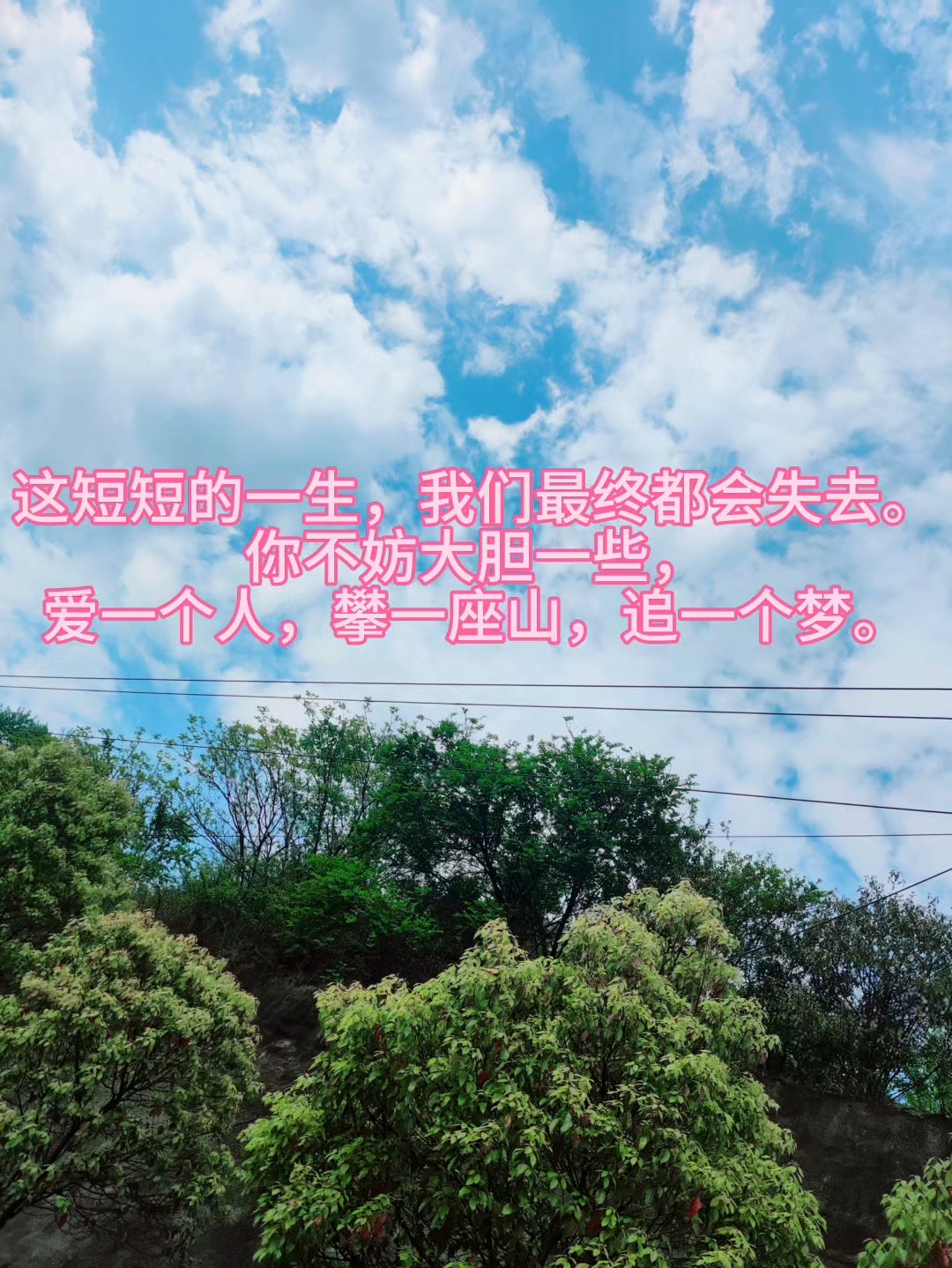《大鱼海棠》经典语录,触动了谁的记忆!