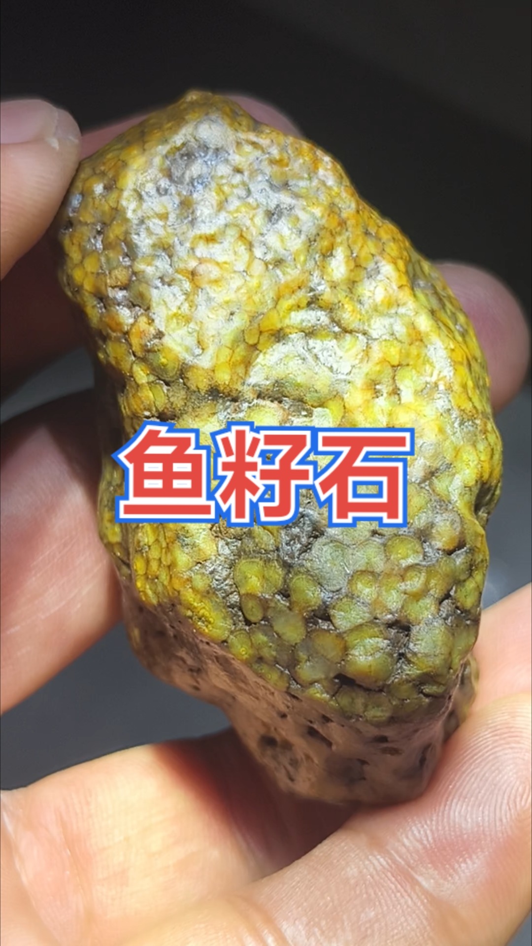 精美鱼籽石原石!!!