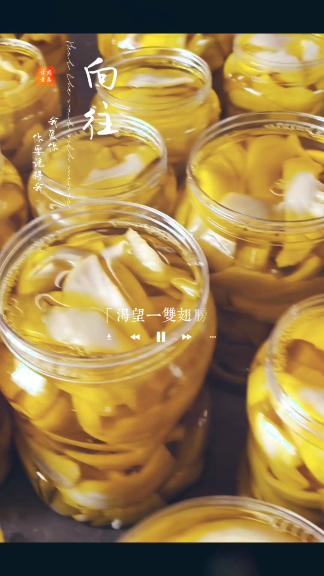 很好吃的一款小吃,雷州甜酸菜,